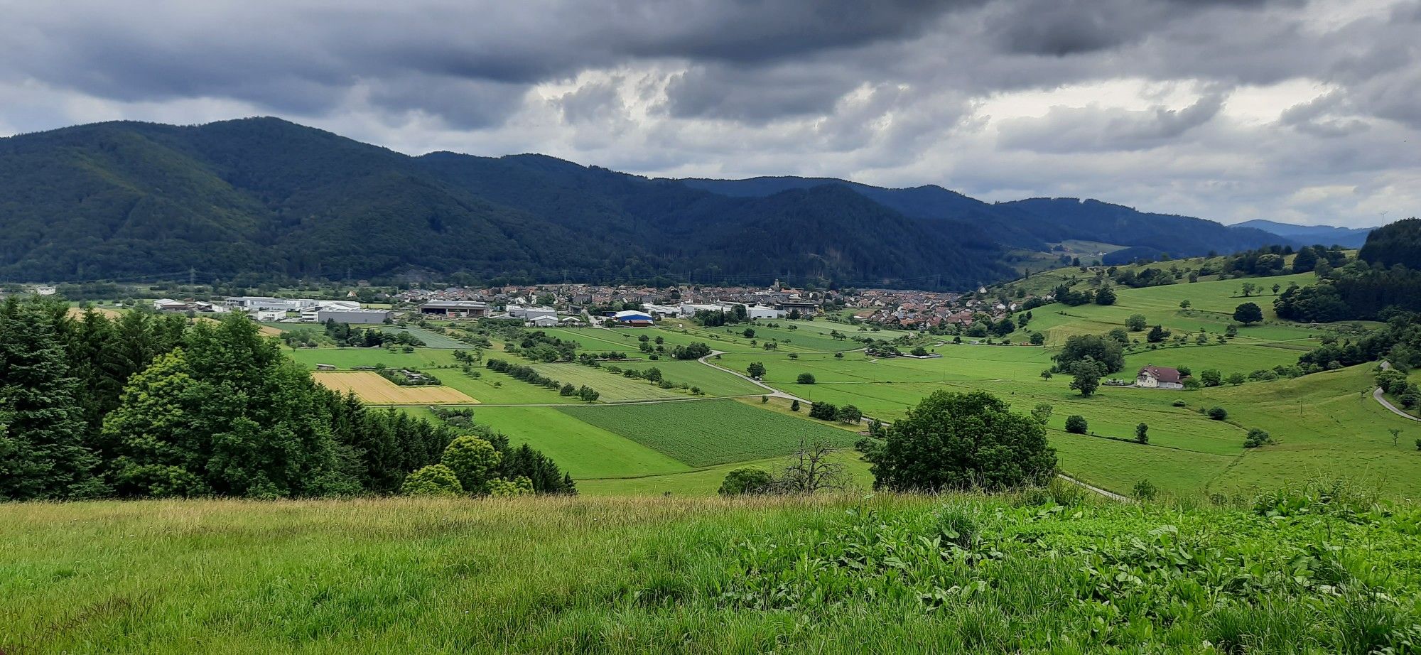 Blick auf Steinach