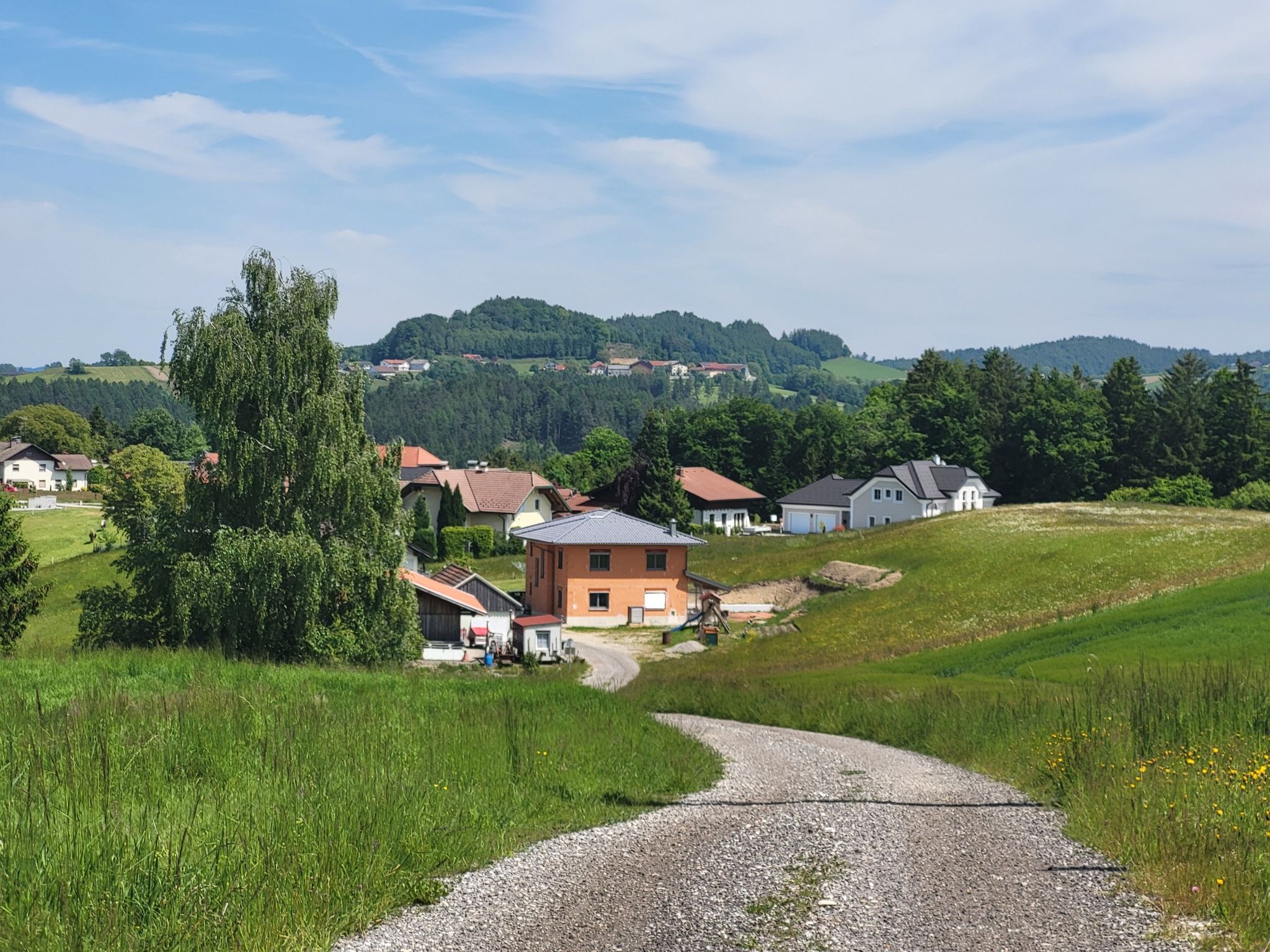 Schnaidt