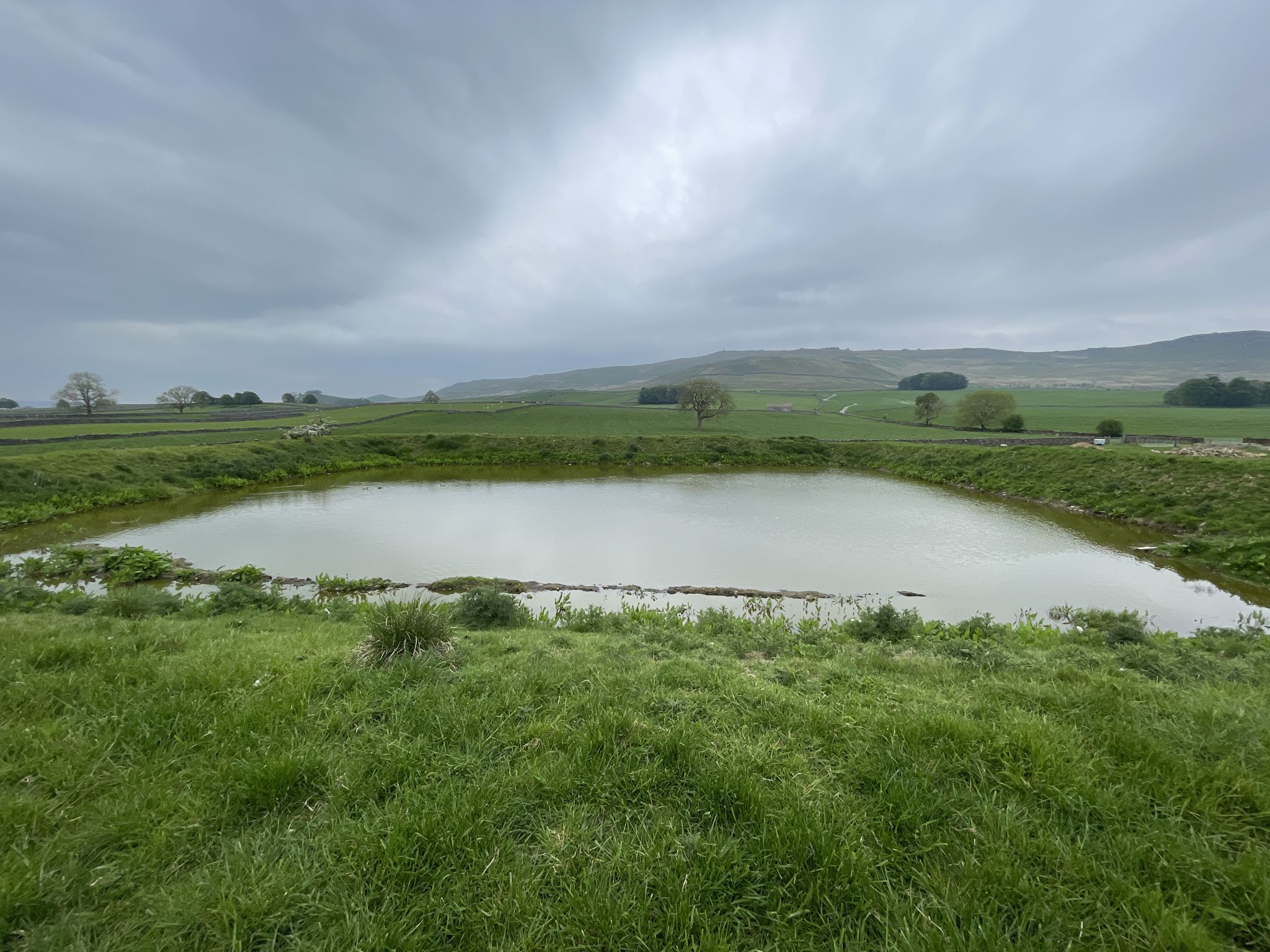Fish Ponds.