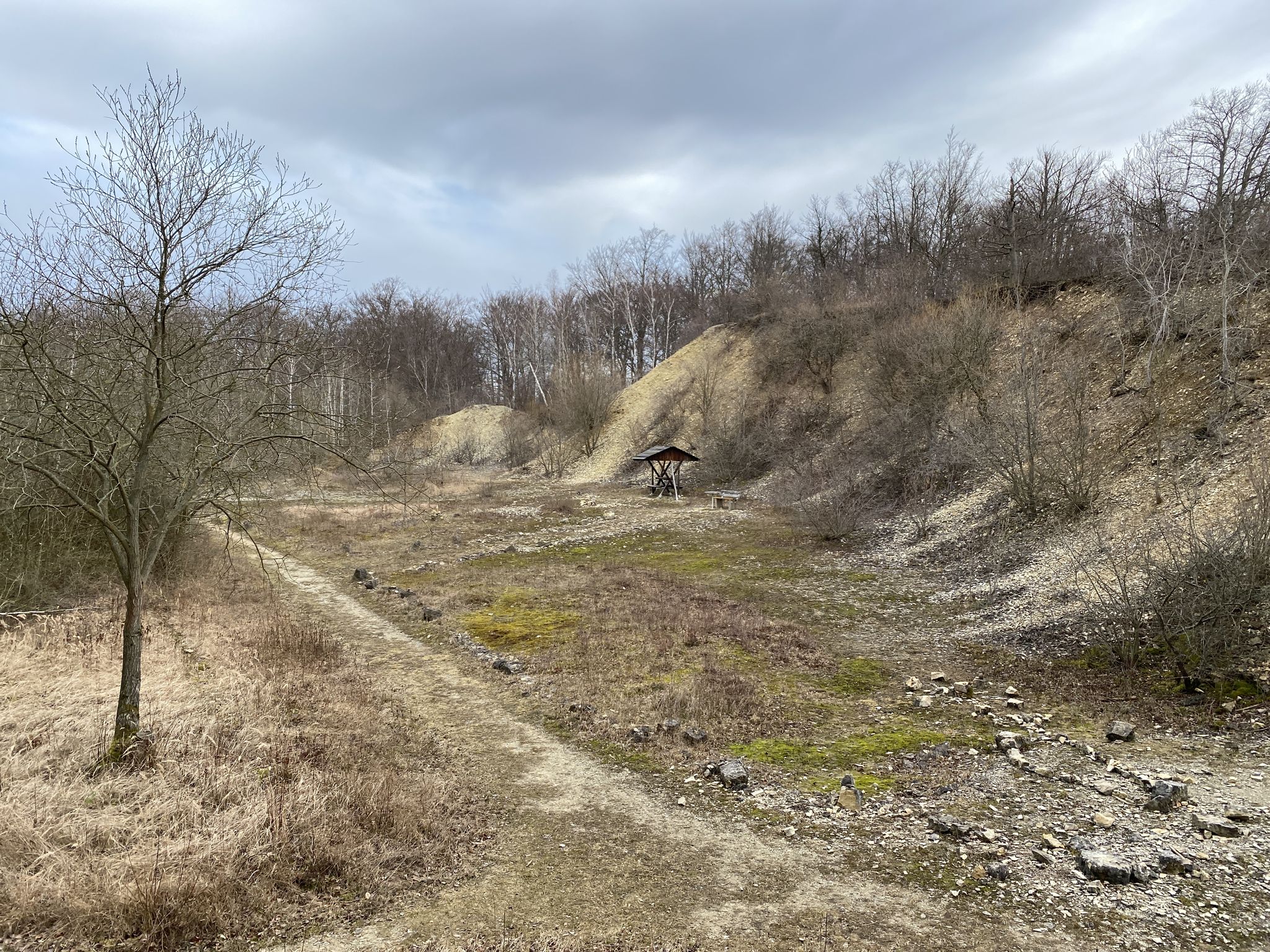 Ehemaliger Kalksteinbruch