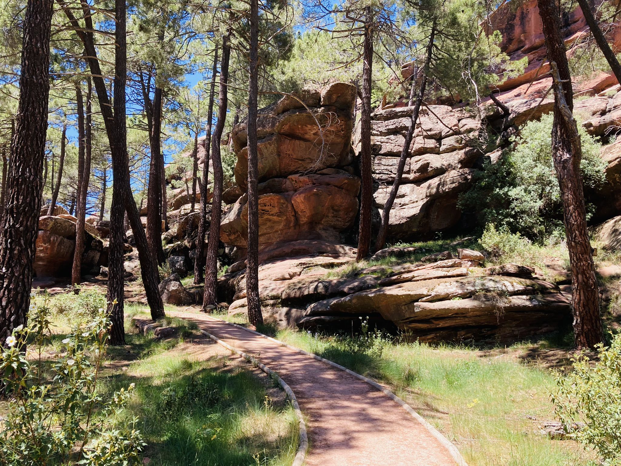 Trail to Peñas Royas