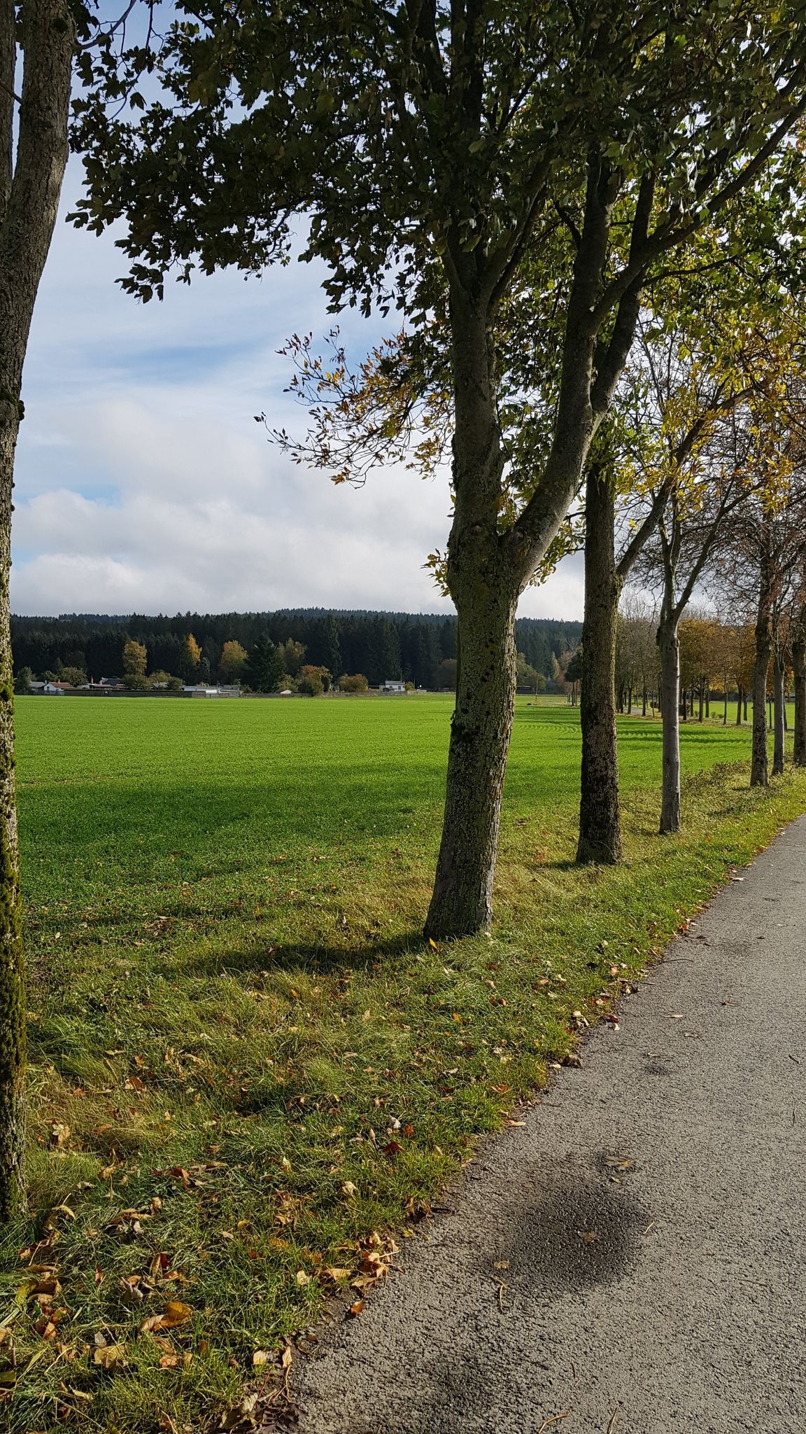 Straße Richtung Skilift Werda