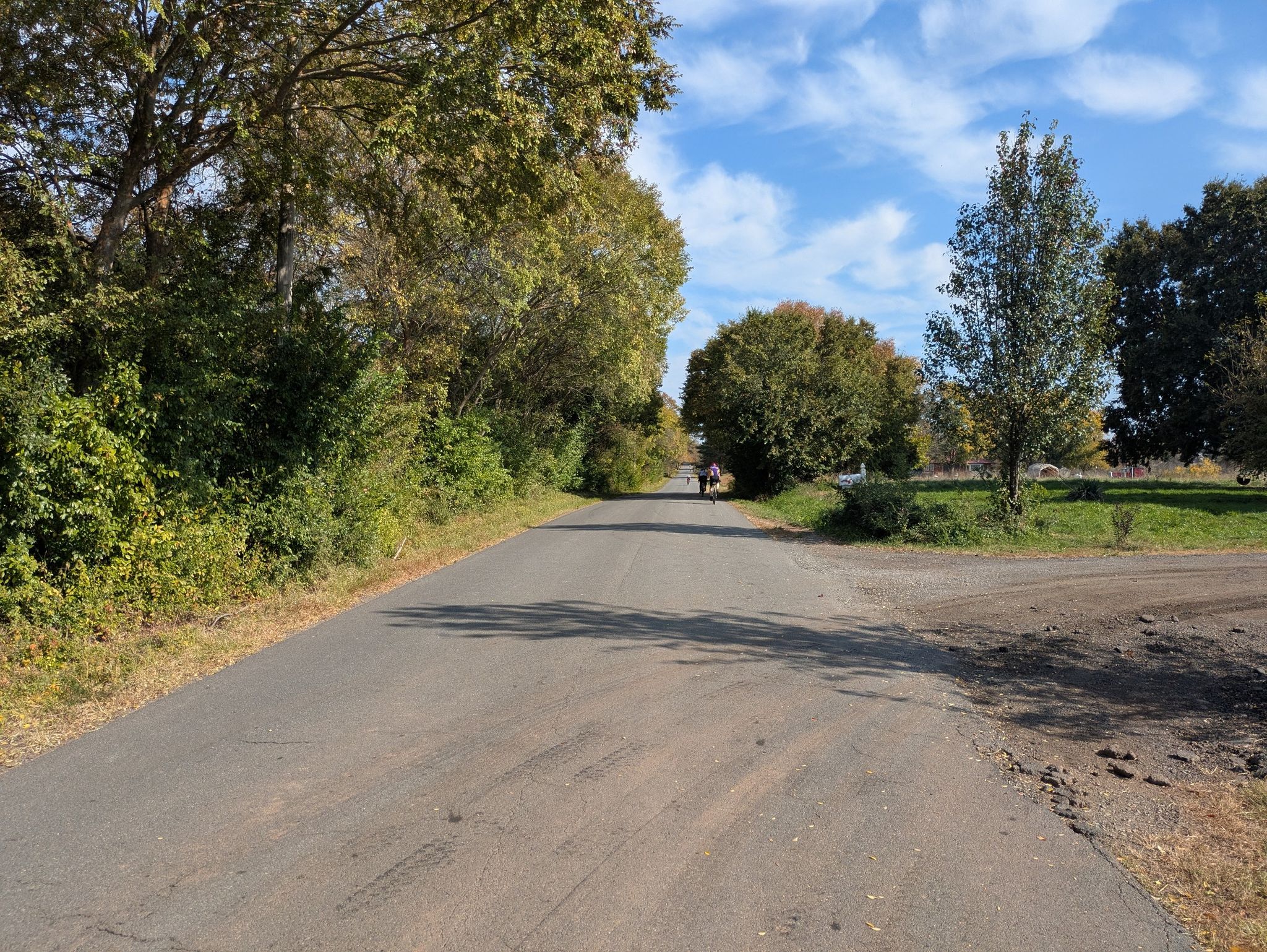 Paved road lined with trees, a person walking in the distance under a blue sky. - Remington to Kelly's Ford loop