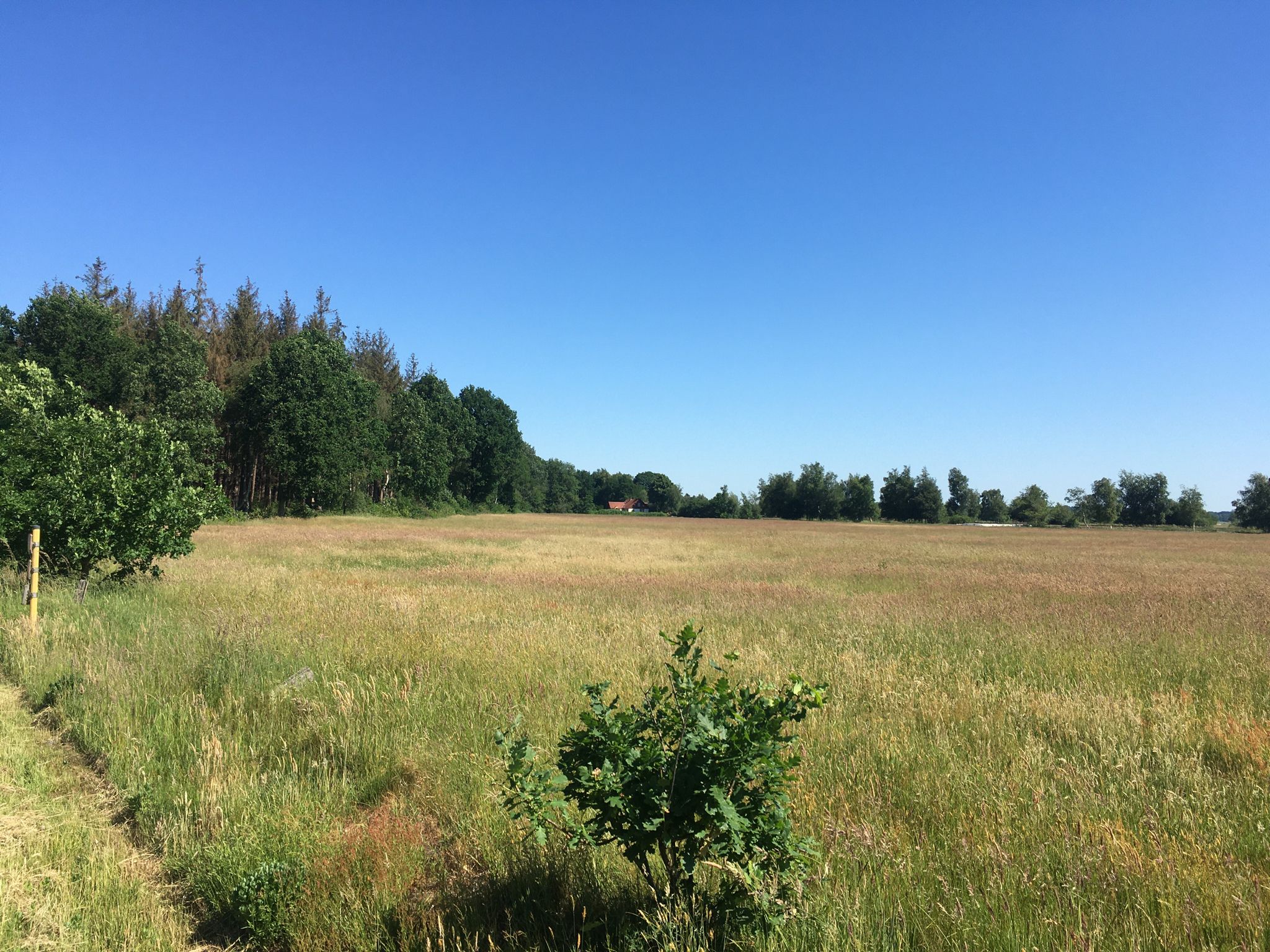 Dithmarschen