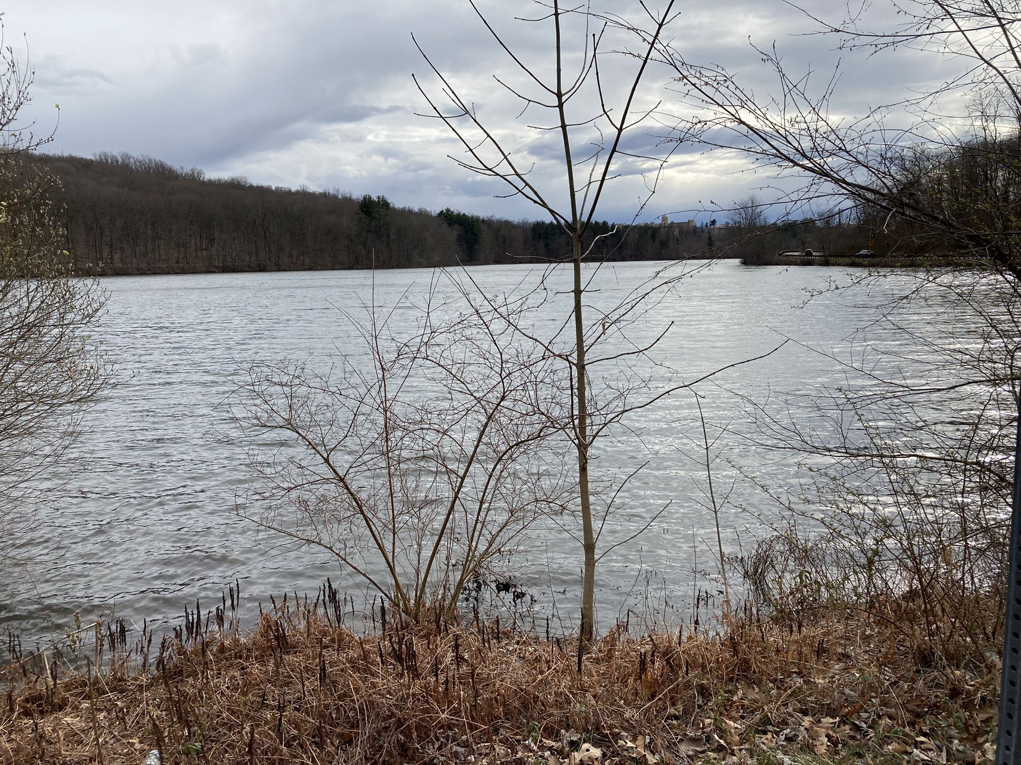 Wavy lake with bare trees and dry reeds in the foreground under cloudy skies. - North County Trailway – Eastview Pumping Station loop from Philipse Manor