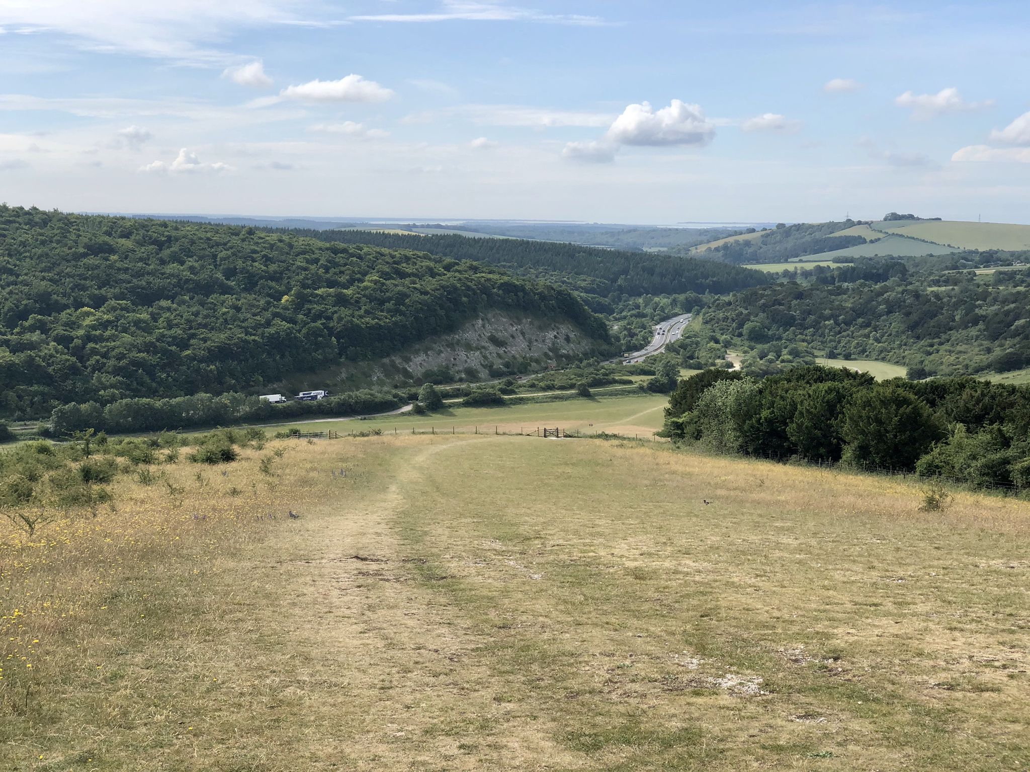 Looking back over Queen Elizabeth Country Park