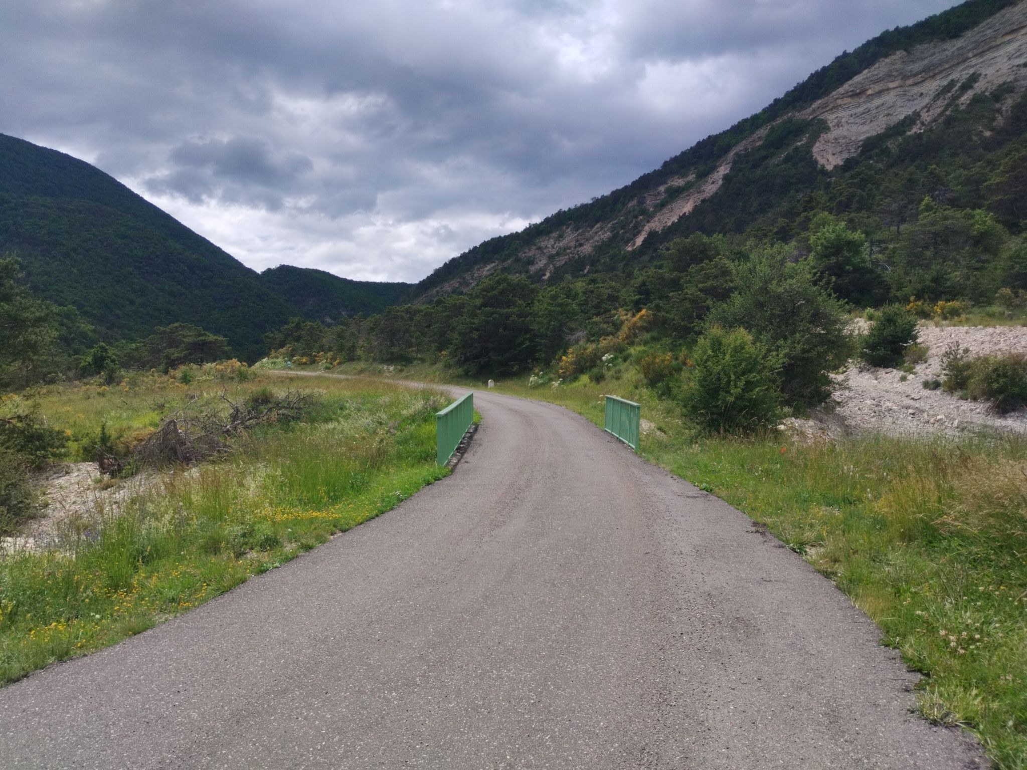 D116, Auffahrt zum Col du Reychasset