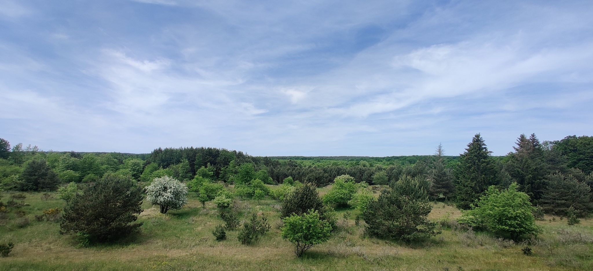 Müritz Nationalpark