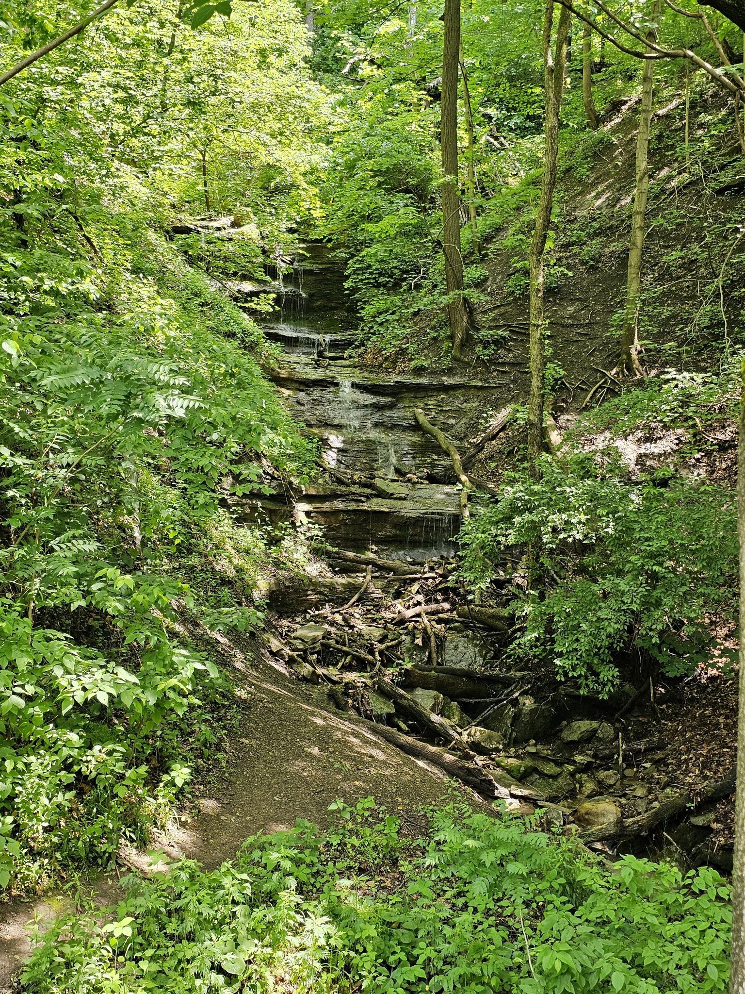 A multi-tiered waterfall cascading down a rocky, tree-covered hillside in bright light. - Montour Trail loop from Hendersonville
