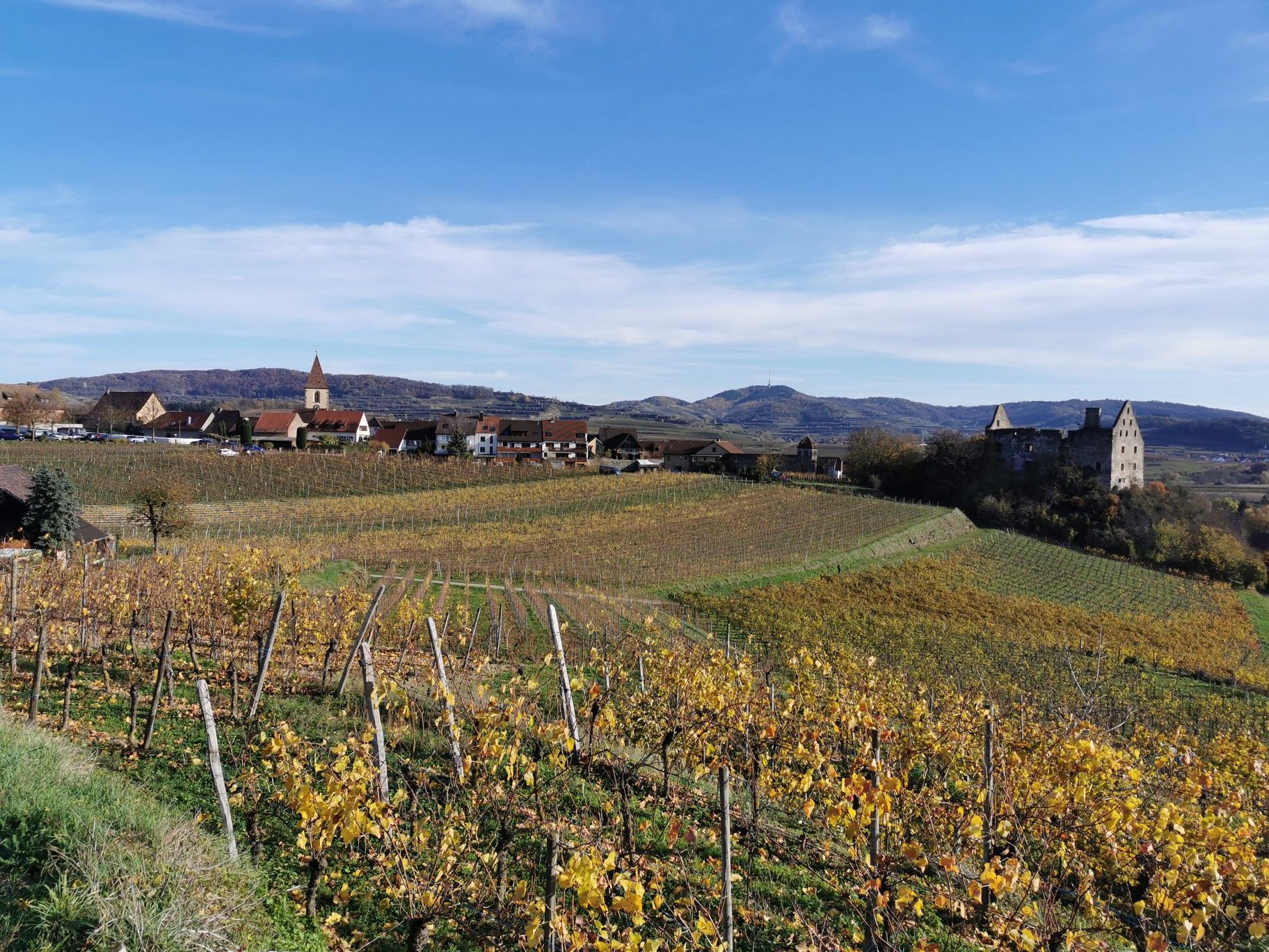 Blick auf Burkheim