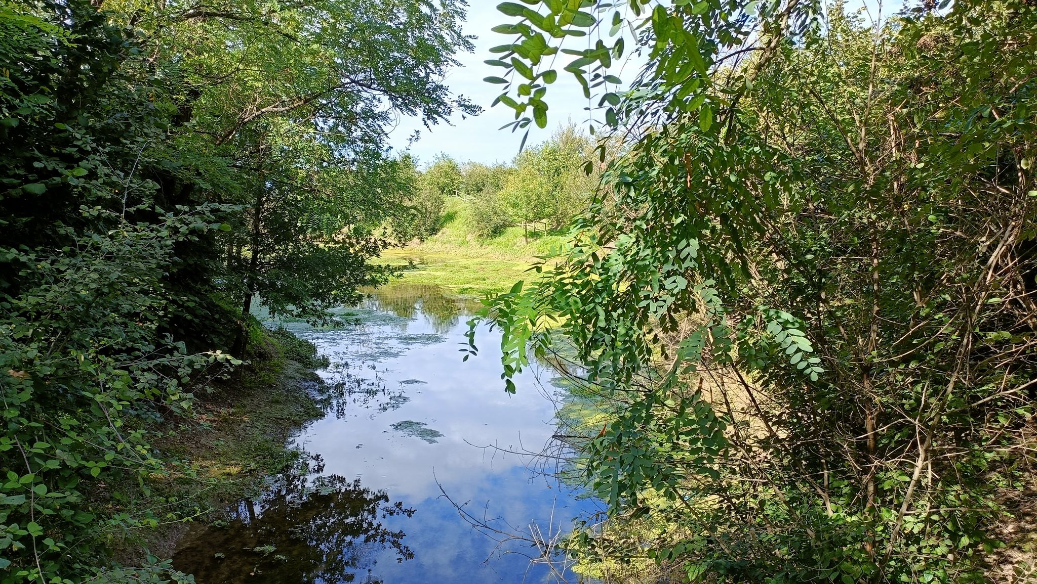 Fontanile Armandi