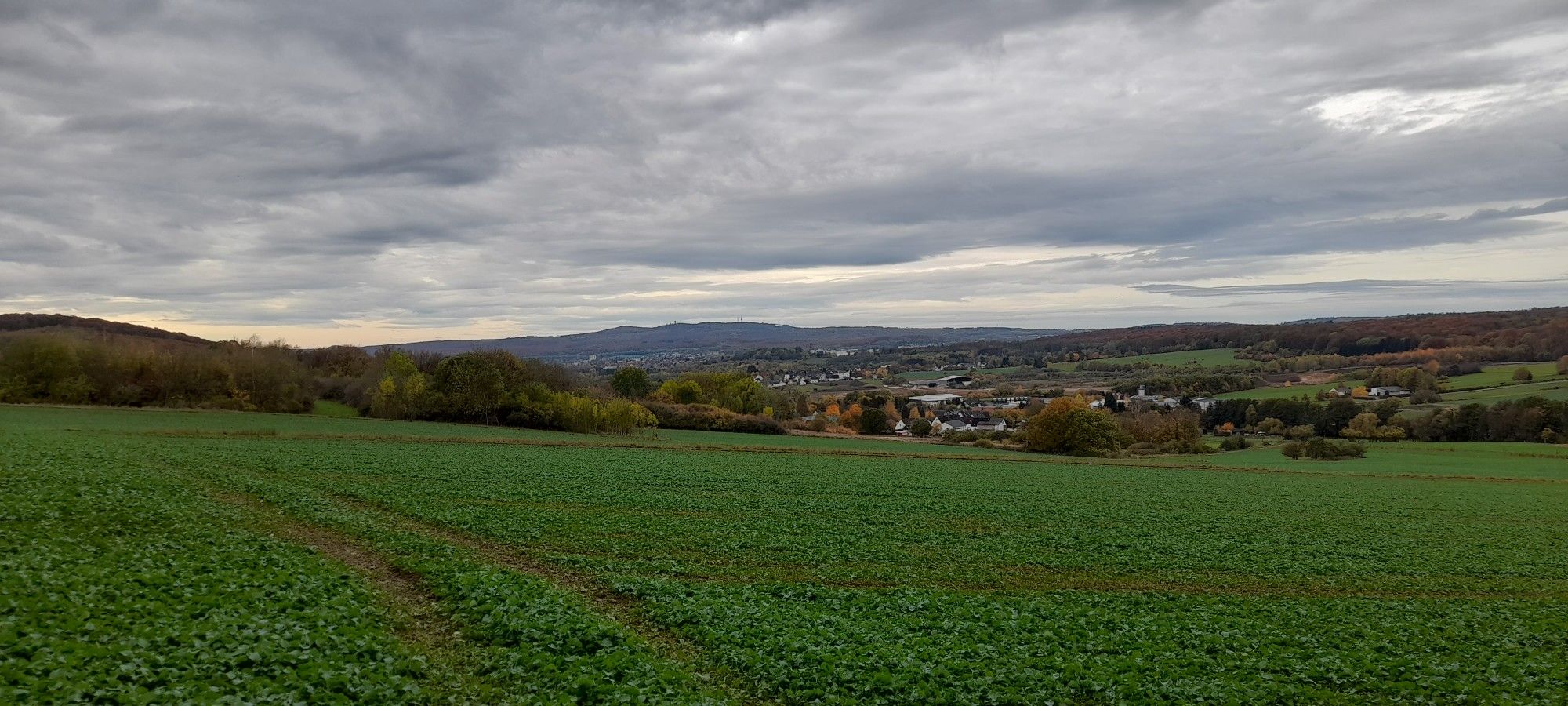 Köppel 