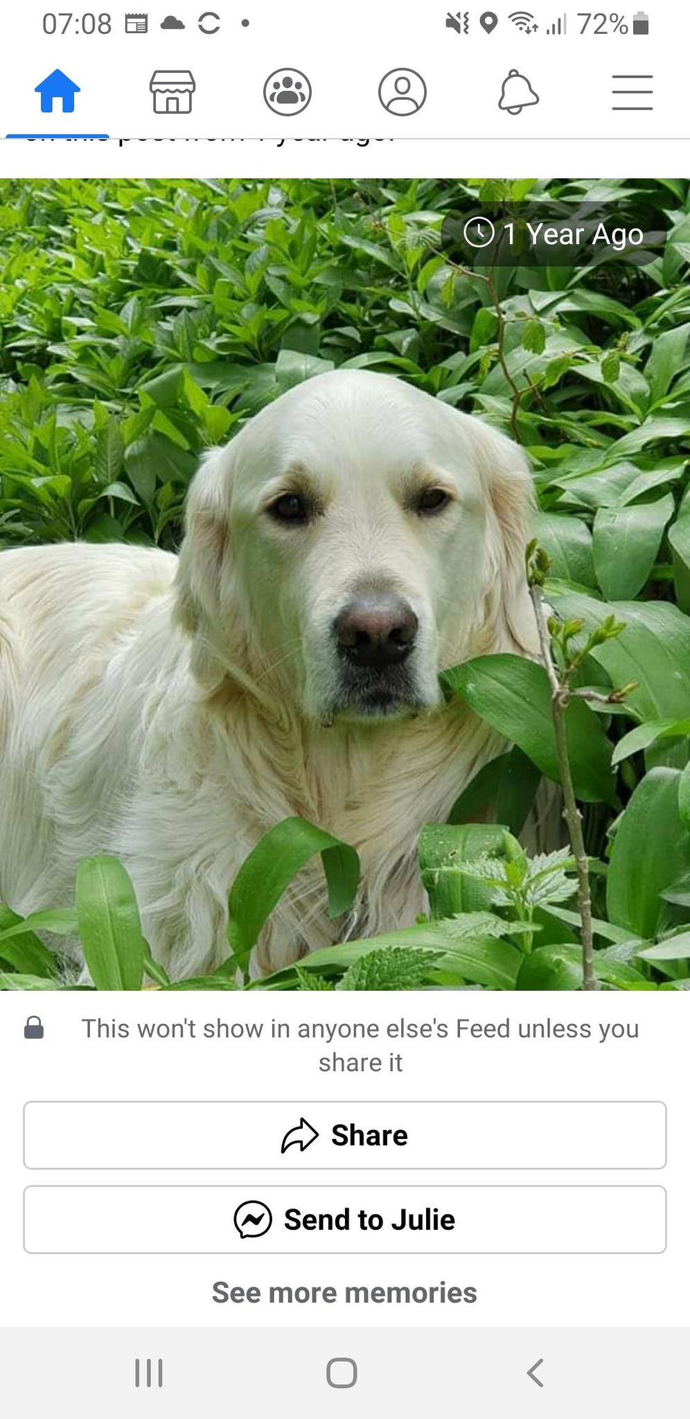 user avatar