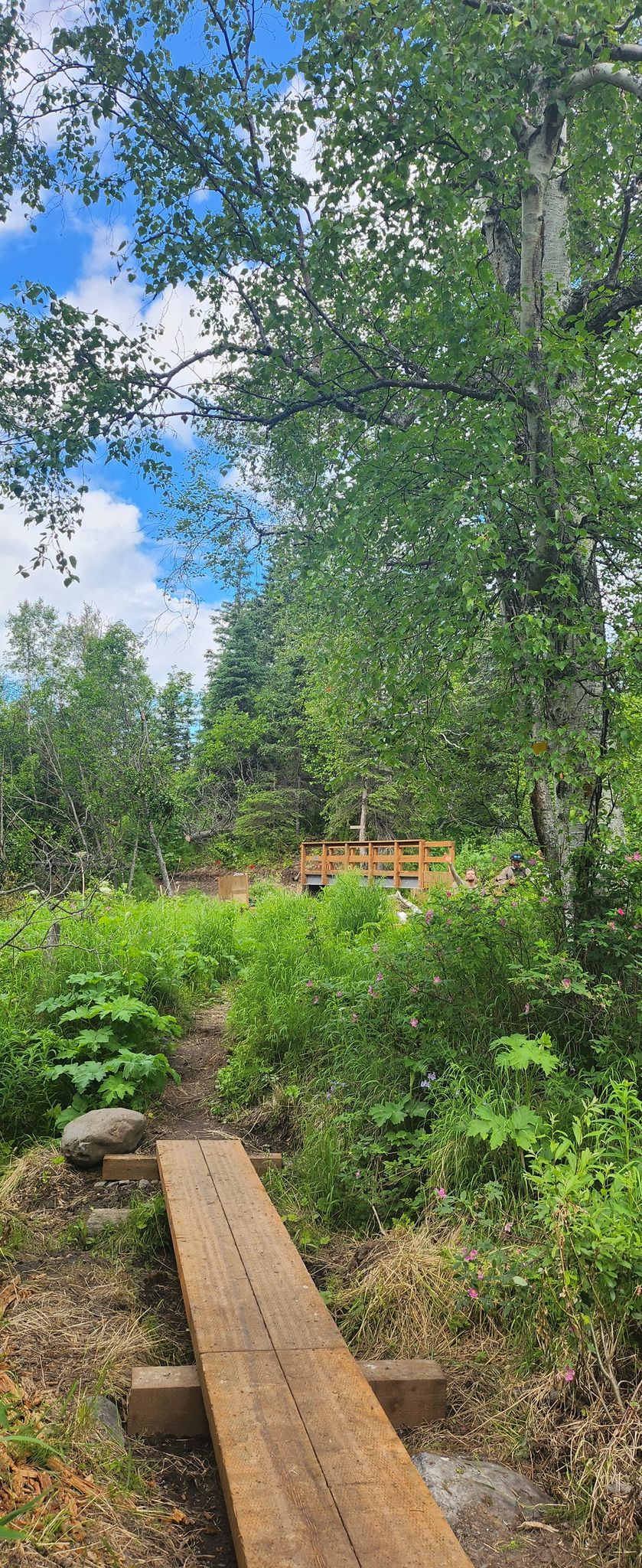 new bridge