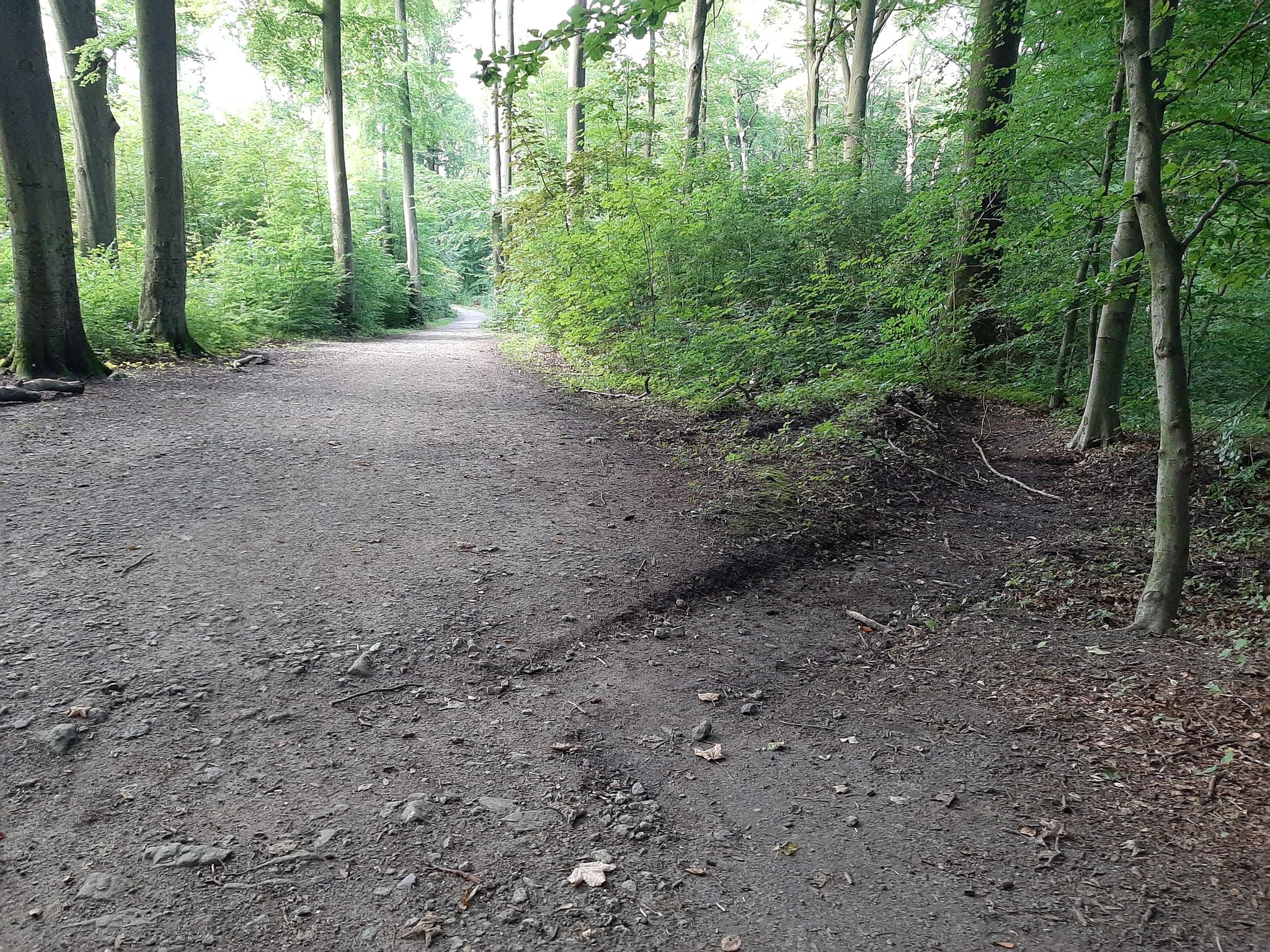 Hier wurde nach dem Starkregen nachgebessert... der Regen soll scheinbar seitlich vom Weg weggeleitet werden
