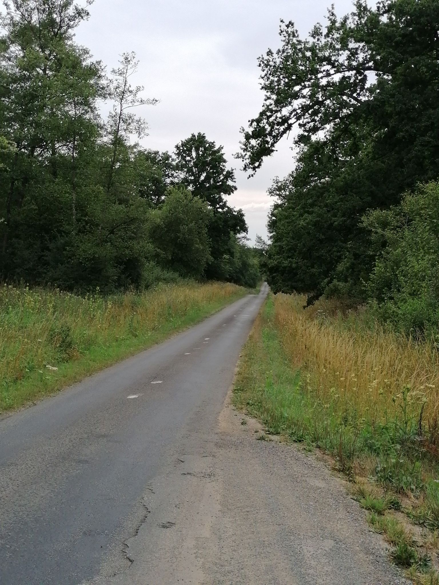 Durch den Forêt Domaniale de Boulogne