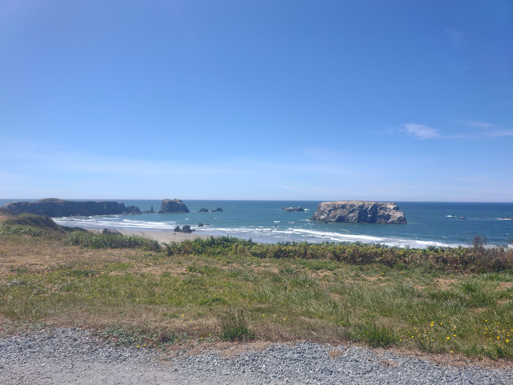 Grassy foreground overlooking a sunny beach with sea stacks and ocean. - Coquille Point – South Slough Inlet loop from Face Rock State Scenic Viewpoint