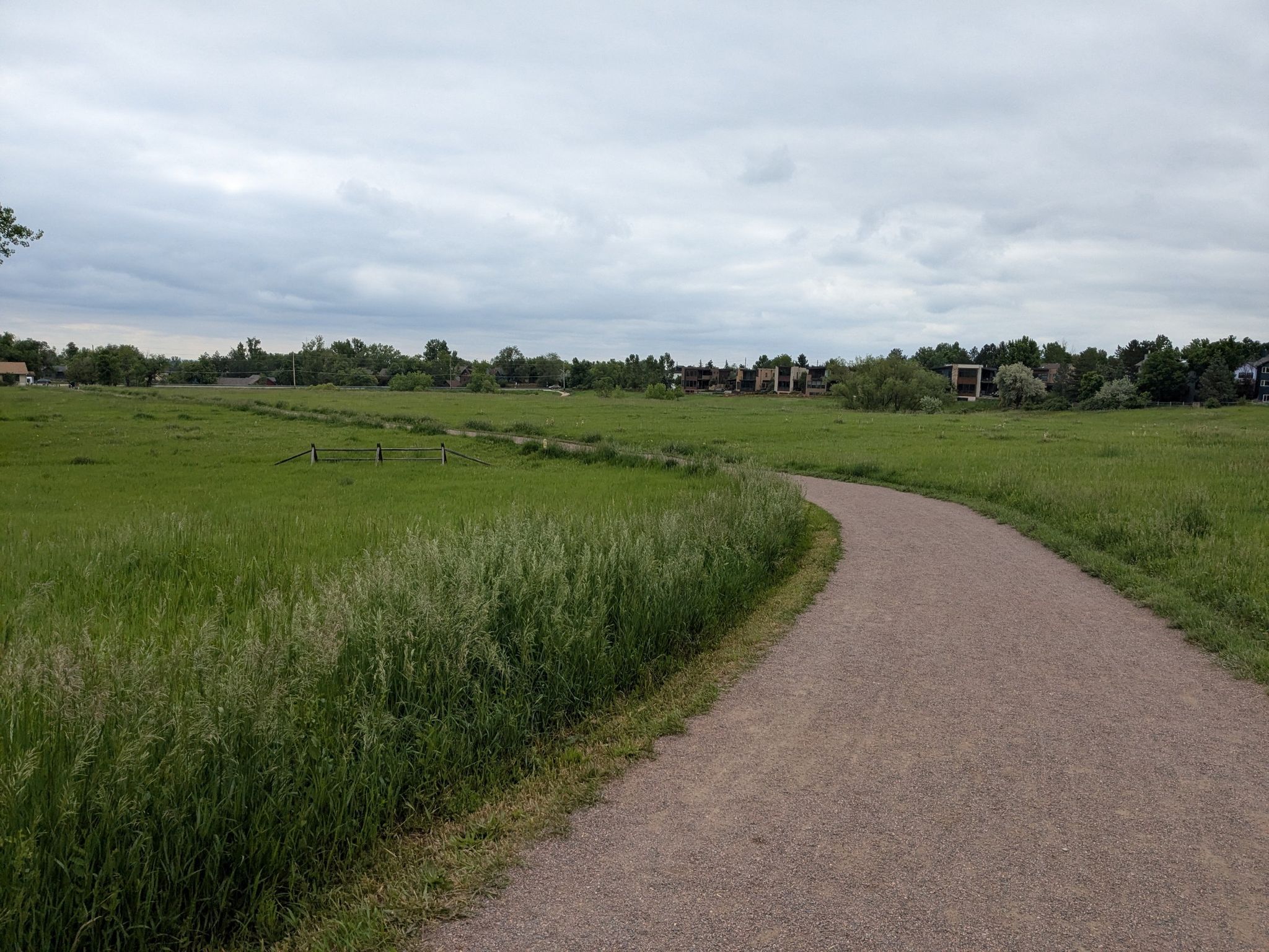 A winding dirt path through a vibrant green field under an overcast sky. - Wonderland Lake – Wonderland Lake loop from Violet on Broadway