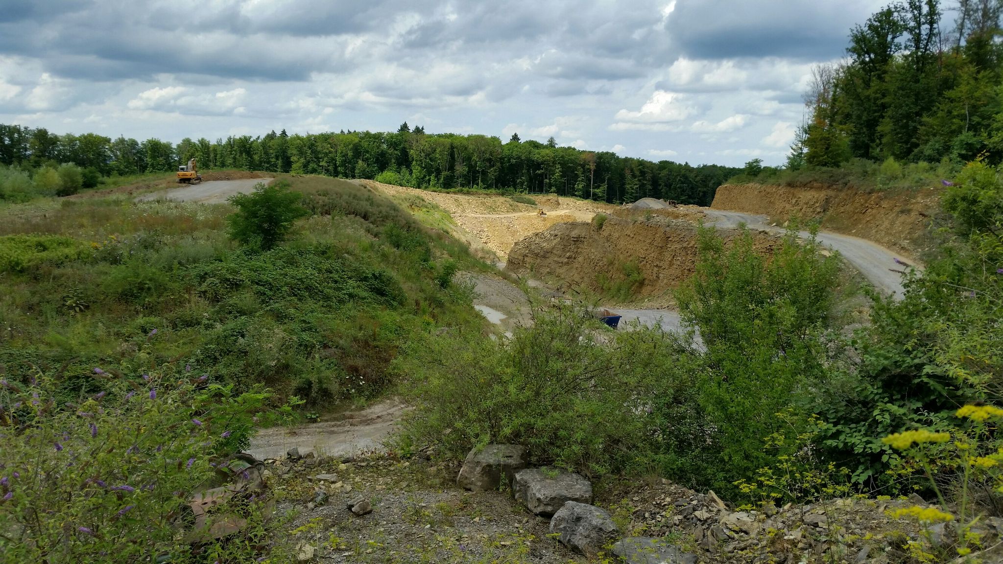 Steinbruch Dietlingen