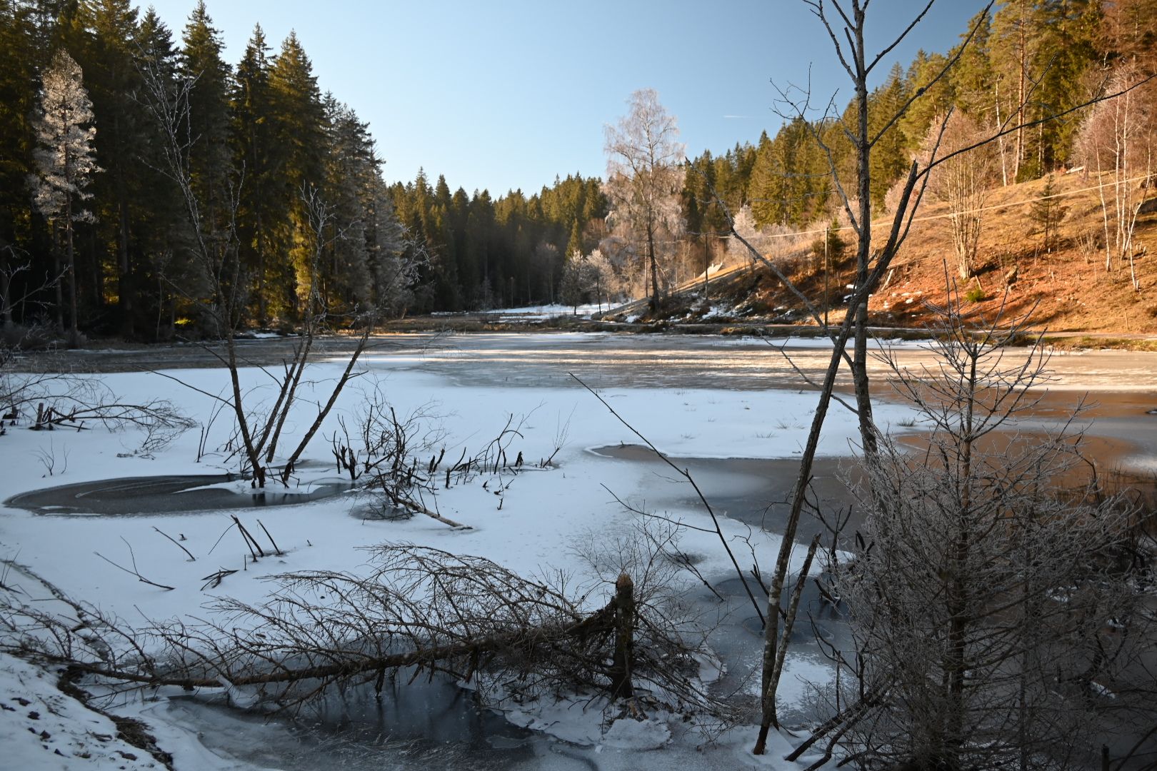 Vereiste Landschaft