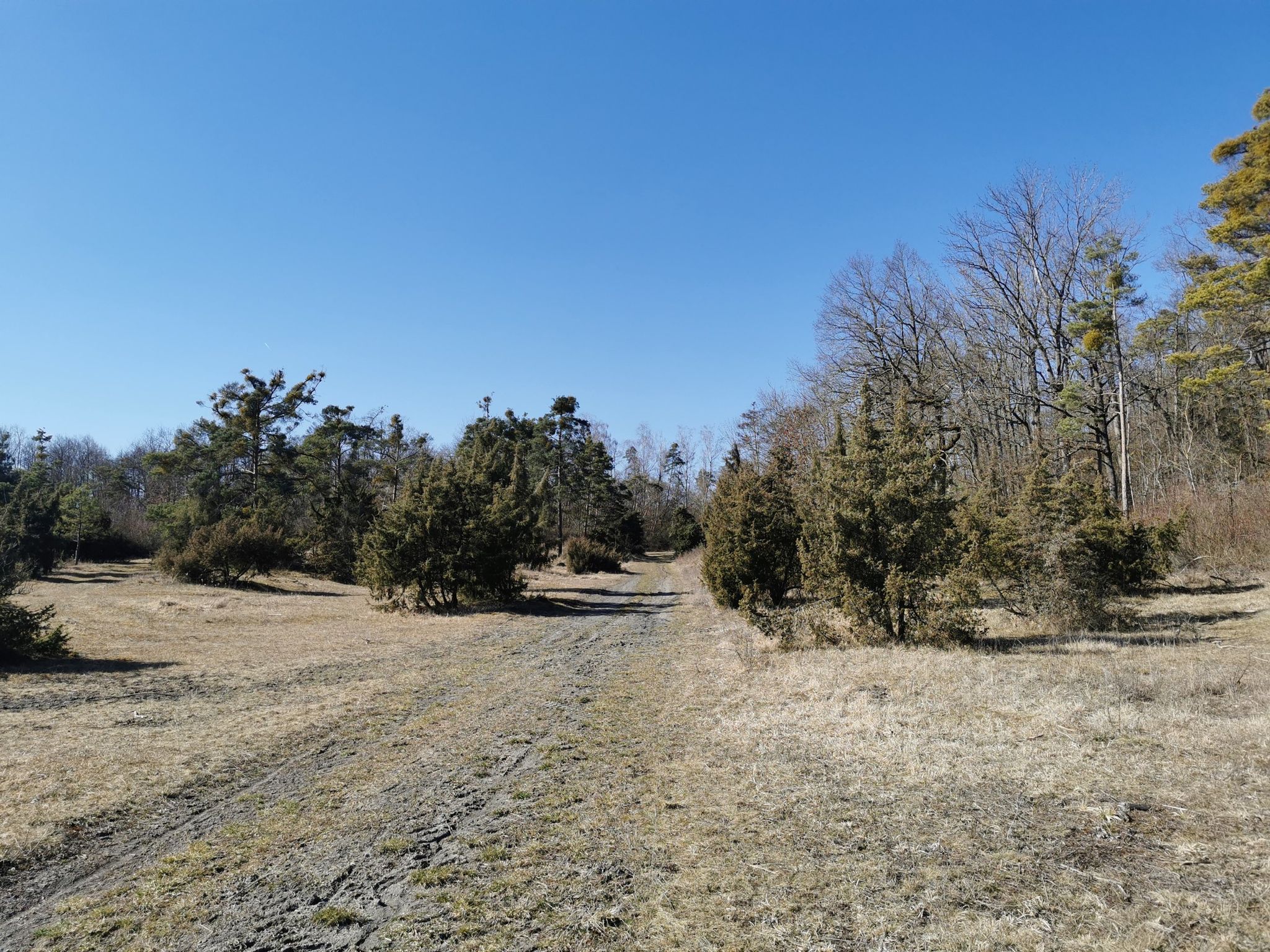 NSG Hutung am Gigert