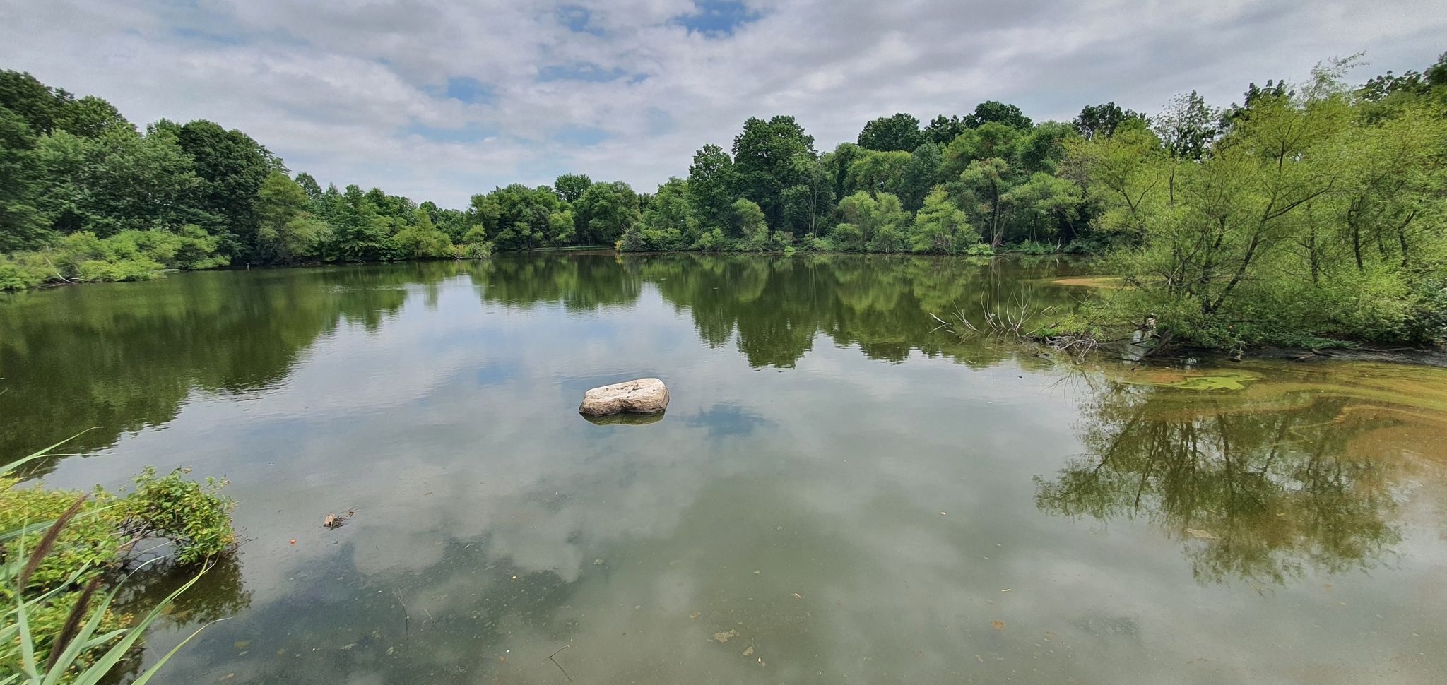 Calm lake reflecting cloudy sky, surrounded by green trees, with a large rock. - Princess Bay Lighthouse loop from Annadale