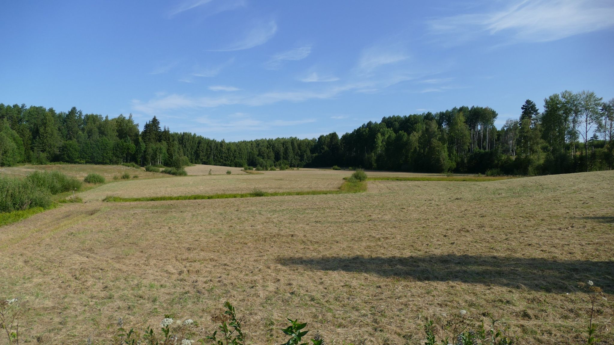 The meadows around our house