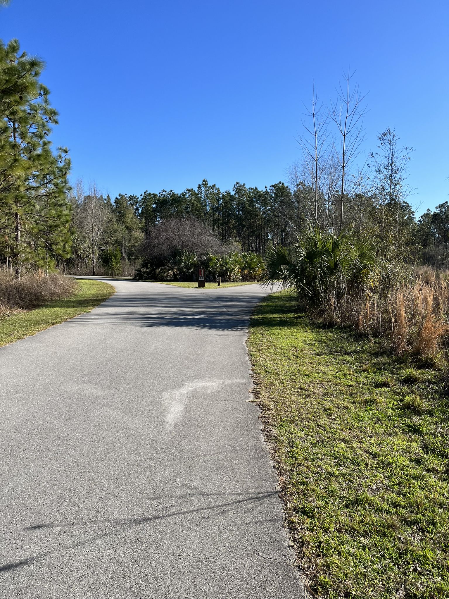 Paved path curving through grassy area with trees under clear sky. - Marshall Swamp and Silver Springs Loop