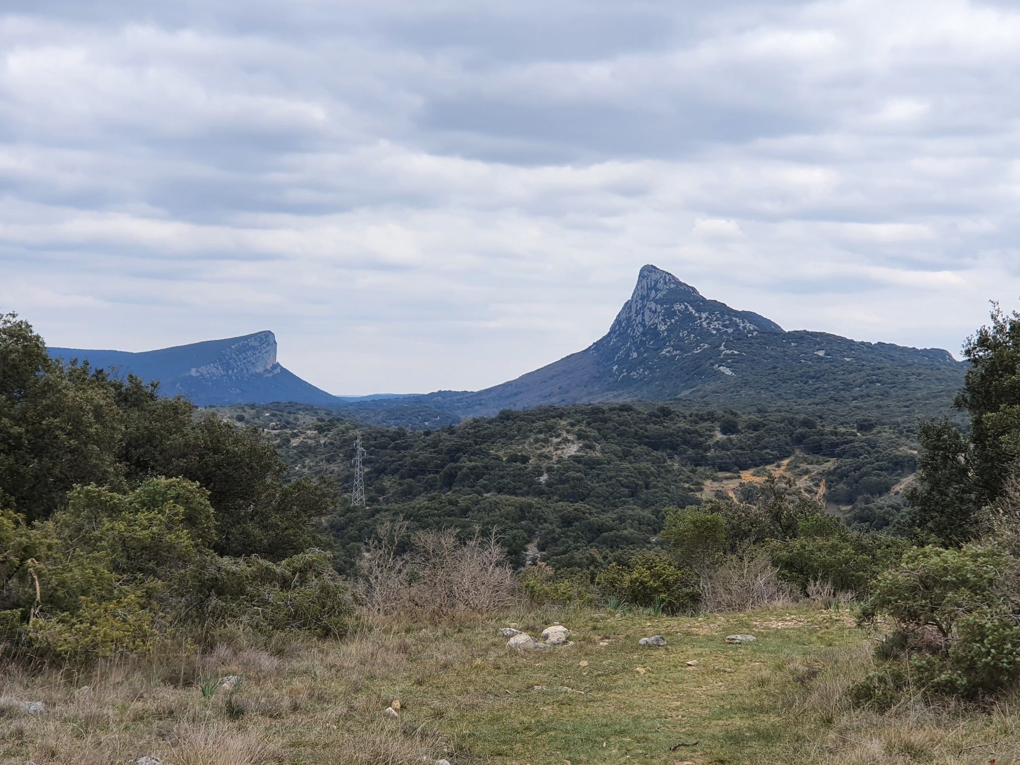 pic Saint loup