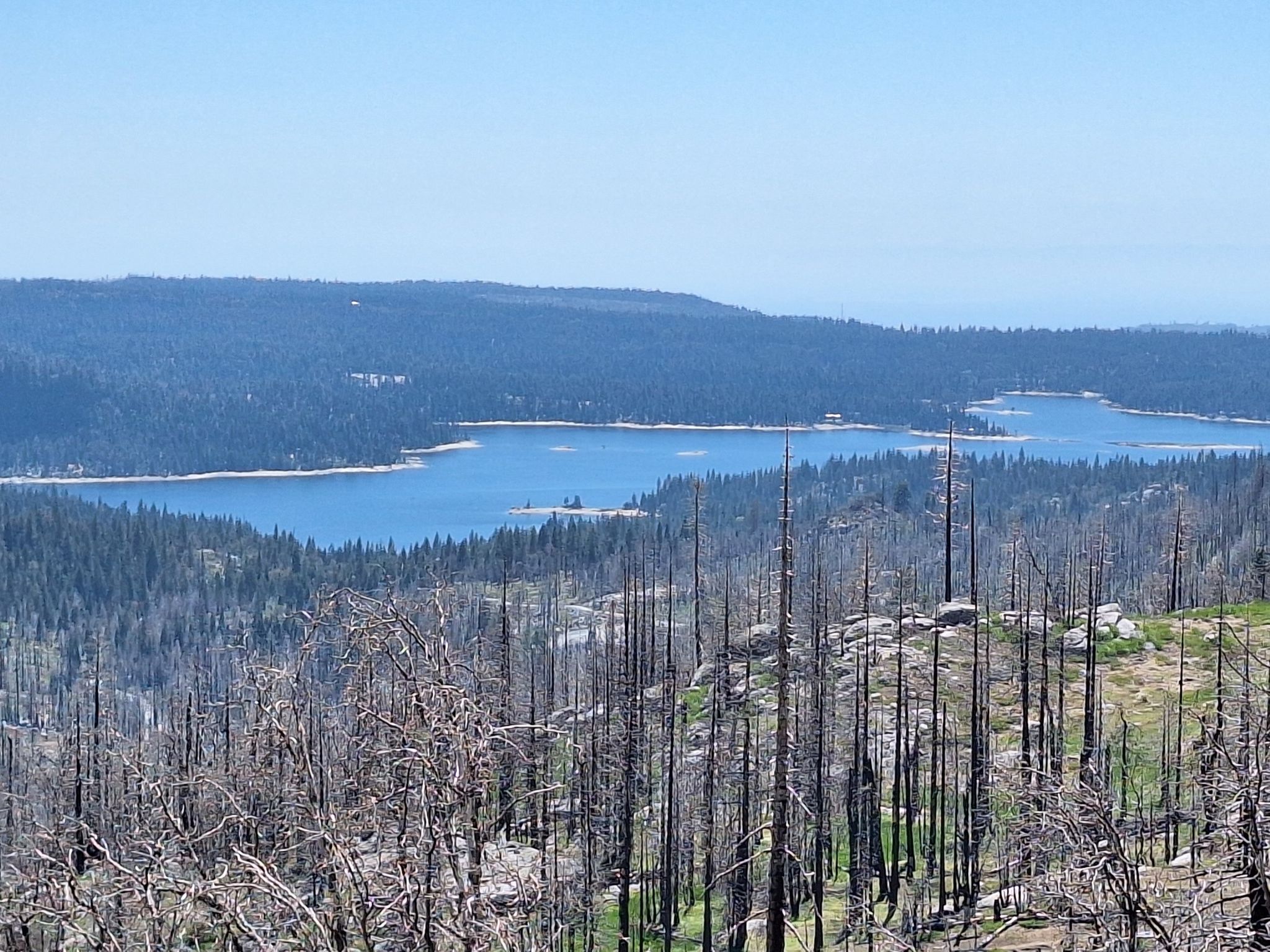A clear blue lake surrounded by green and burnt forests under a bright sky. - Shaver Lake & Huntington Lake loop