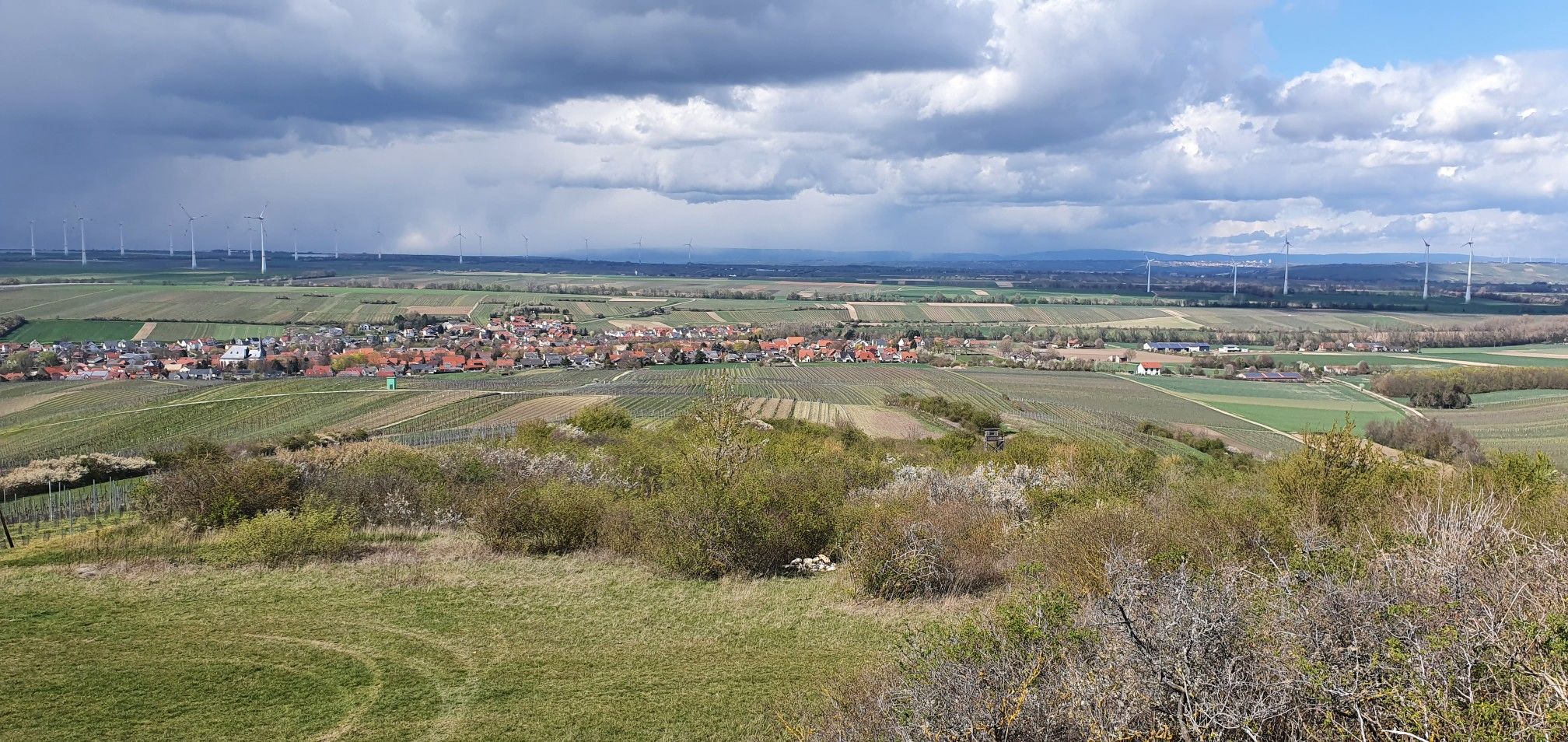 Blick nach Bechtolsheim