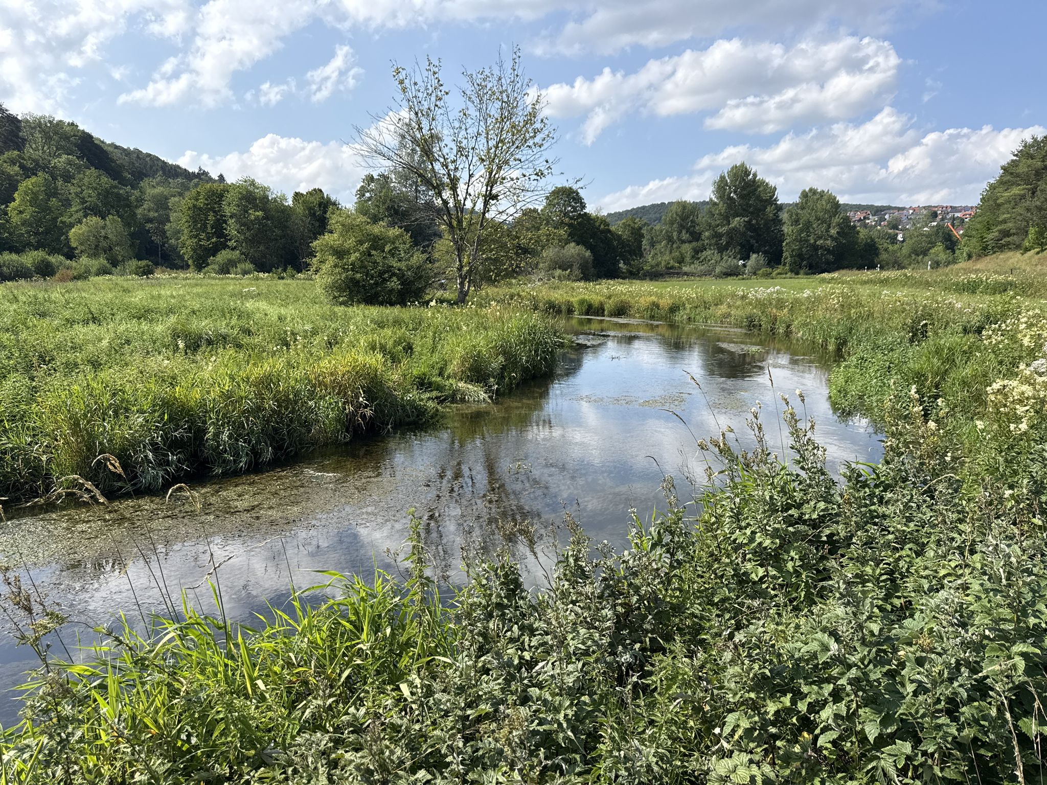 Schöner Blick auf die Lauchert 🌊 - Gammertingen - LKR. Sigmaringen