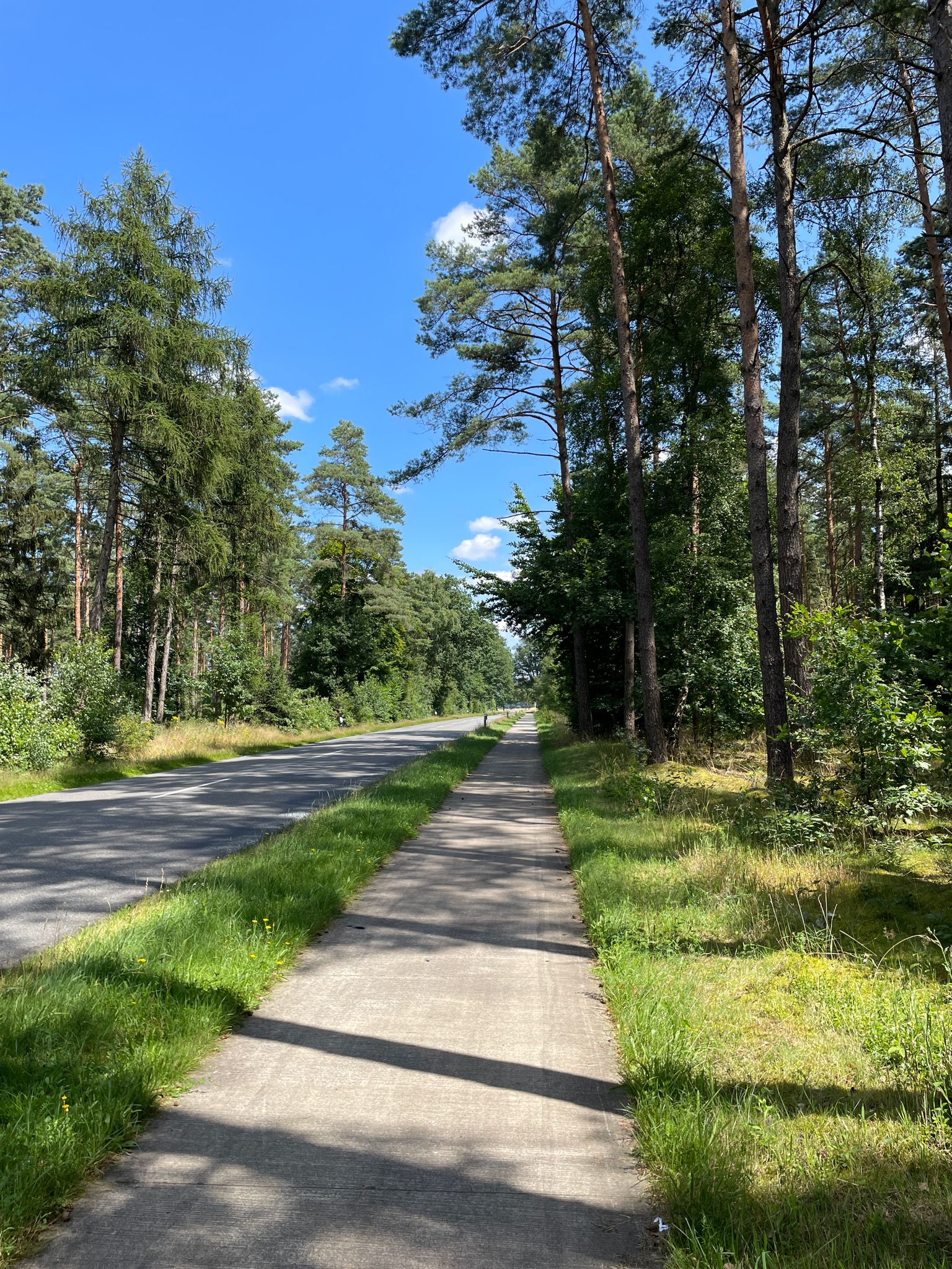 Fahrradweg an der K11