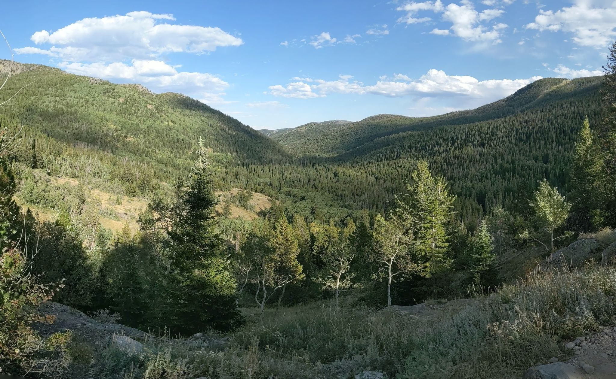 Sunny mountain valley with dense green forests under a partly cloudy sky. - Woodland Trail to Skyscraper Reservoir