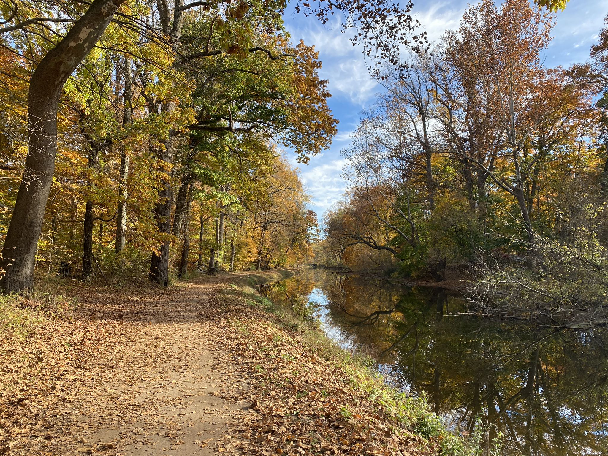 Leaf-covered dirt path beside a calm canal reflecting vibrant autumn trees. - D&L Trail