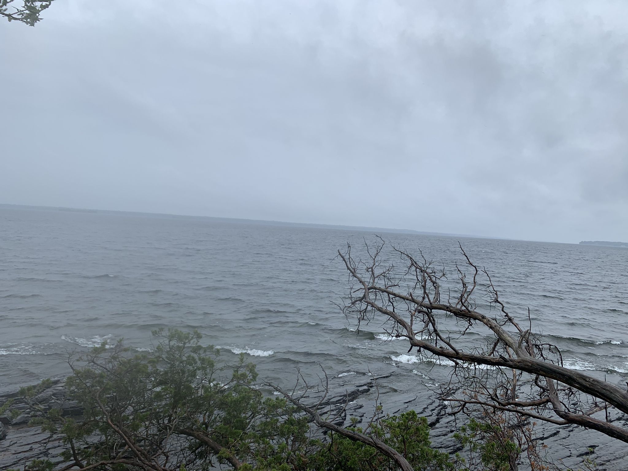 Overcast day over dark, choppy water with rocky shore and bare tree branches. - Lake Champlain Long Point Trail