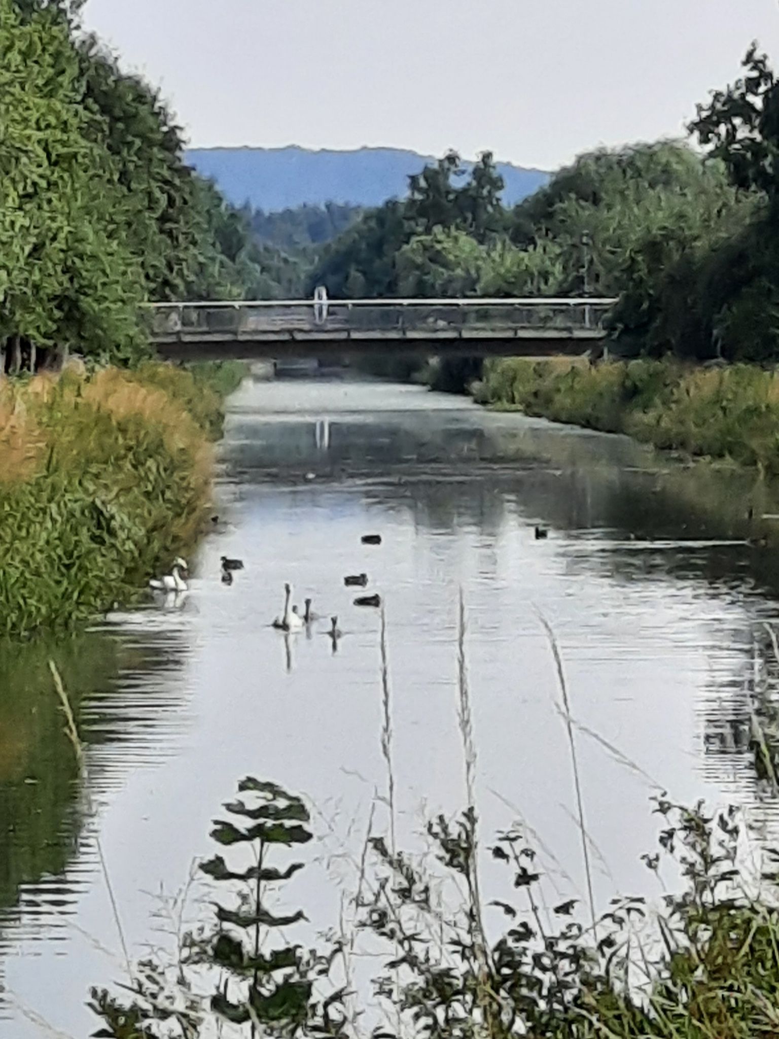 König - Ludwig Kanal