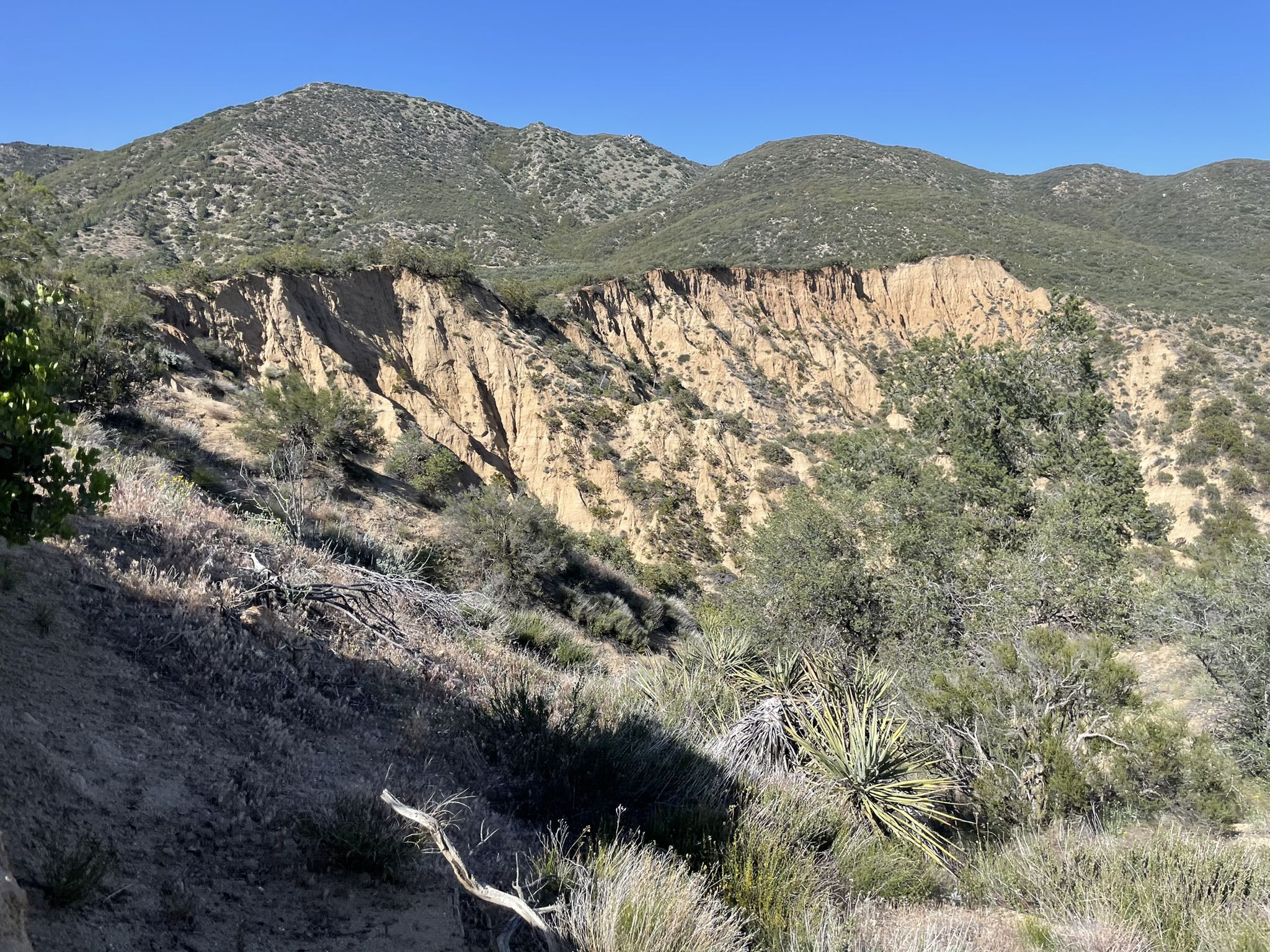 Steep, eroded dirt cliffs with green scrub under a clear blue sky. - Paradise Valley Café loop from Lookout Mountain