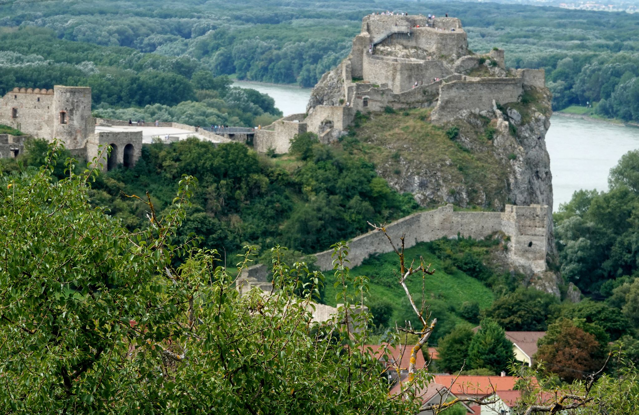 Die Burg Devin im Blick - am Zusammenfluss von March und Donau