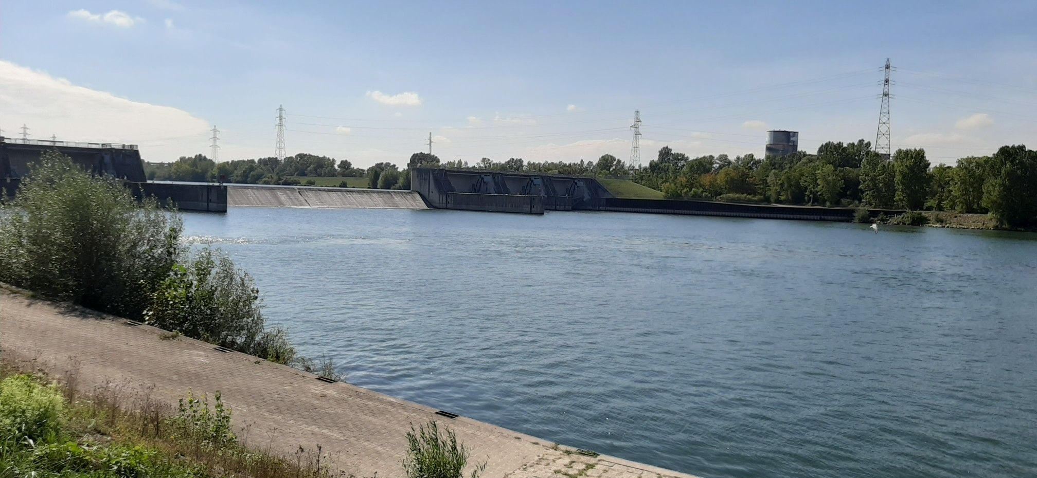 Rhein bei Kehl