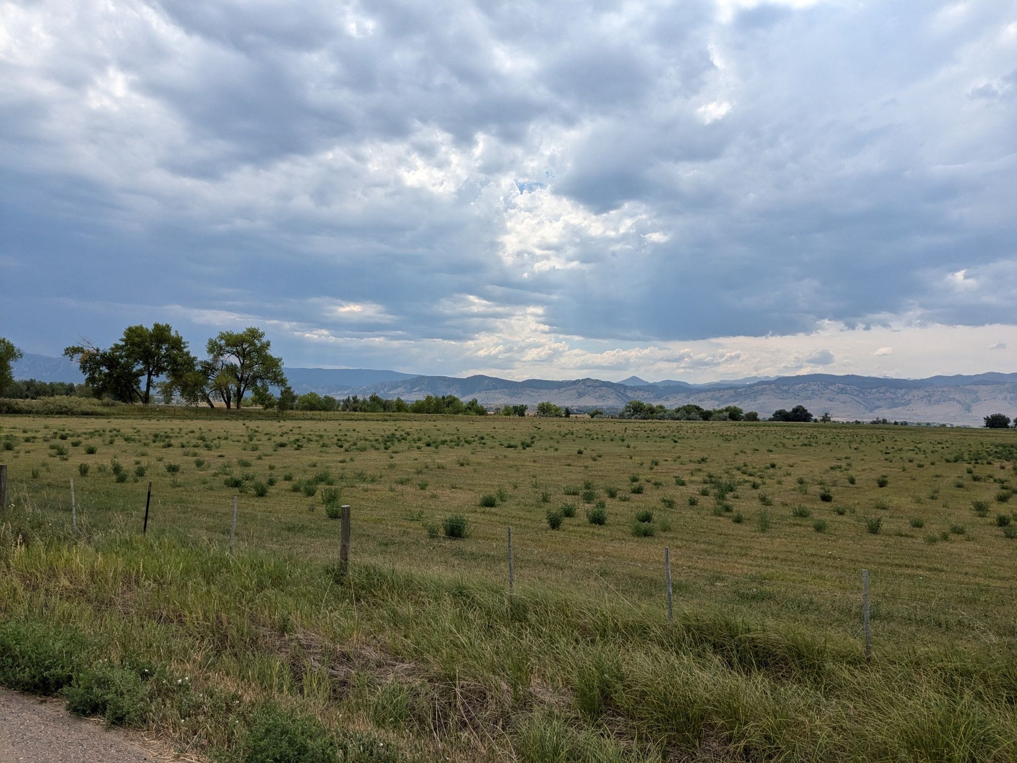 Expansive green field with distant trees and mountains under a cloudy sky. - Boulder Reservoir loop via 63rd Street, Niwot Road, and 36 from Pearl Street