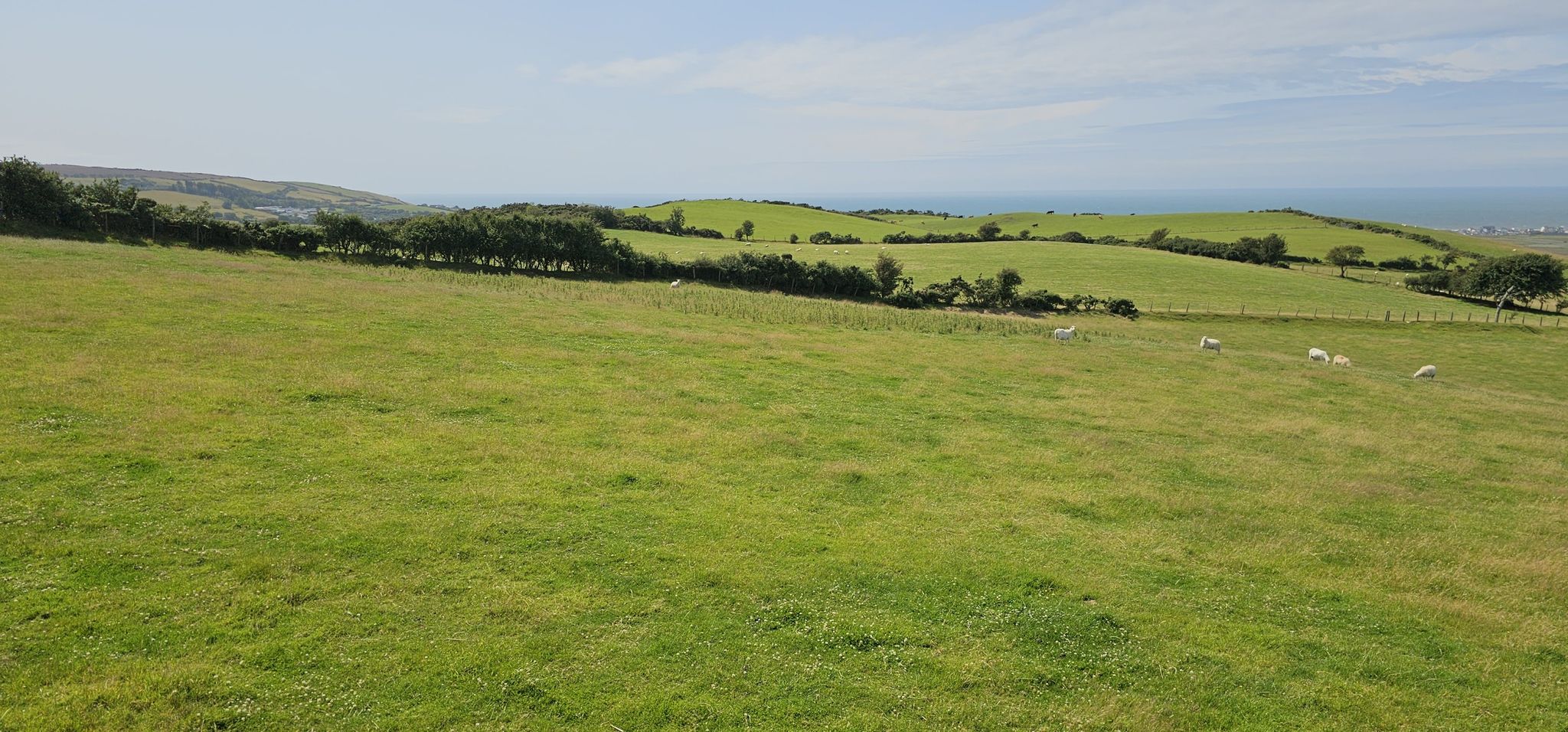 Küste Richtung Borth