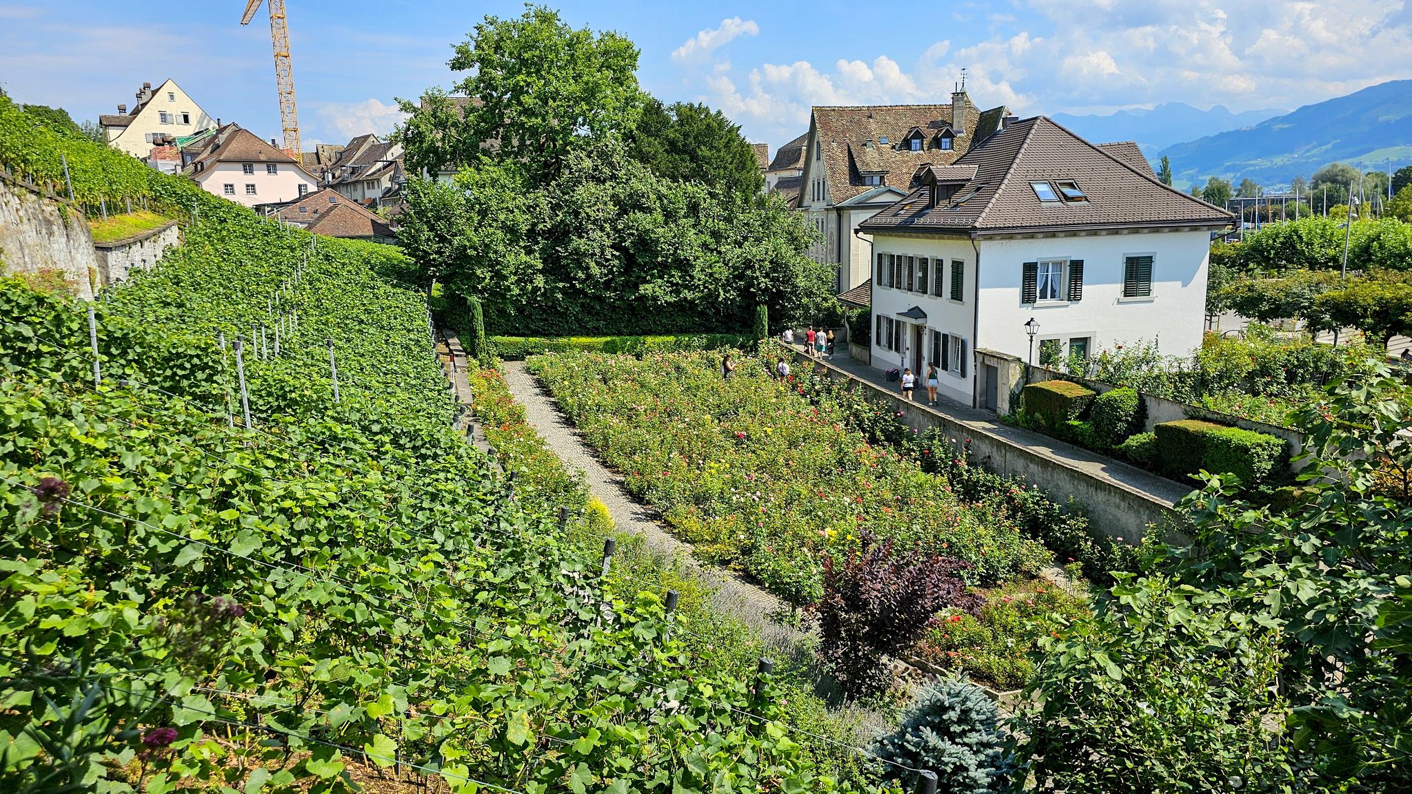 Der Klostergarten ist berühmt für seine Rosengärten