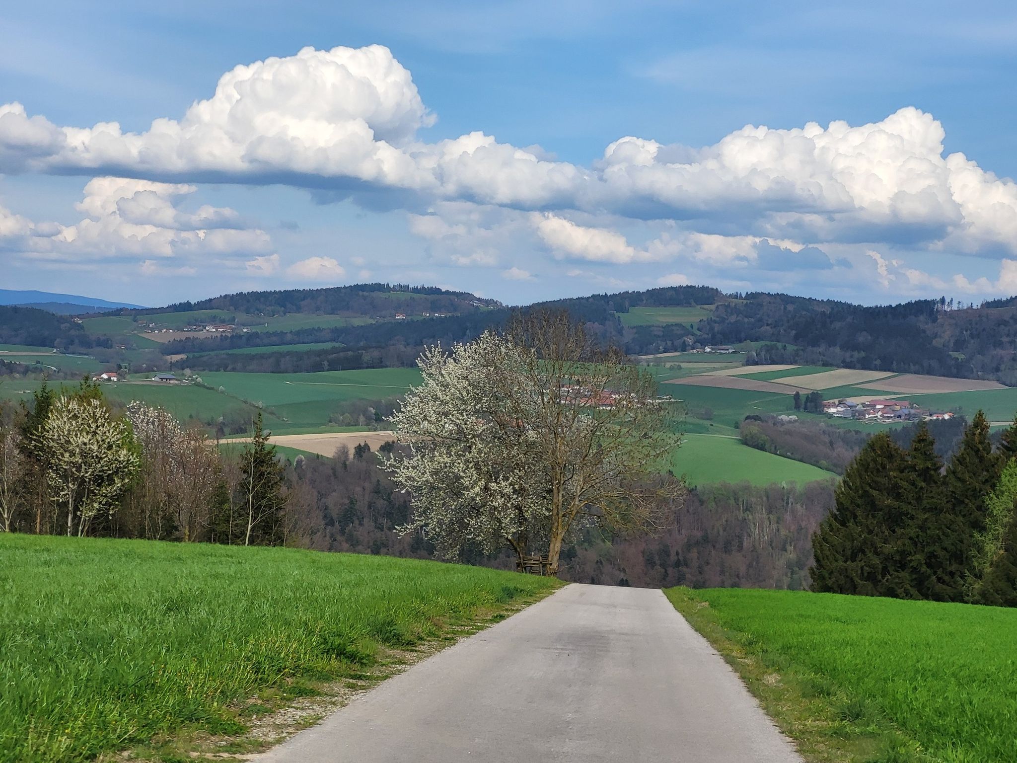 Bayern