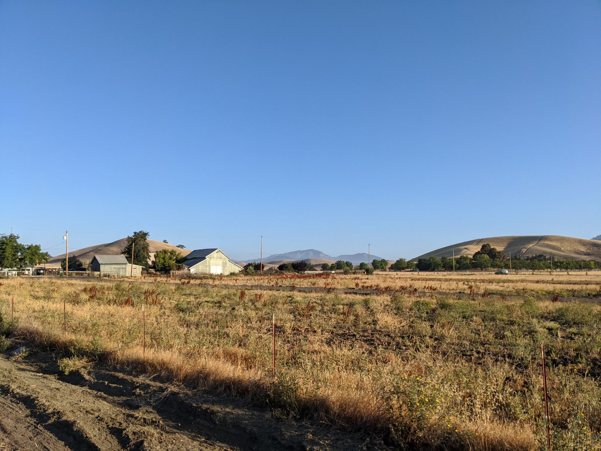 Dry grassy field with farm buildings and distant hills under a clear blue sky. - Iron Horse Trail – Museum of the San Ramon Valley loop from Alamo