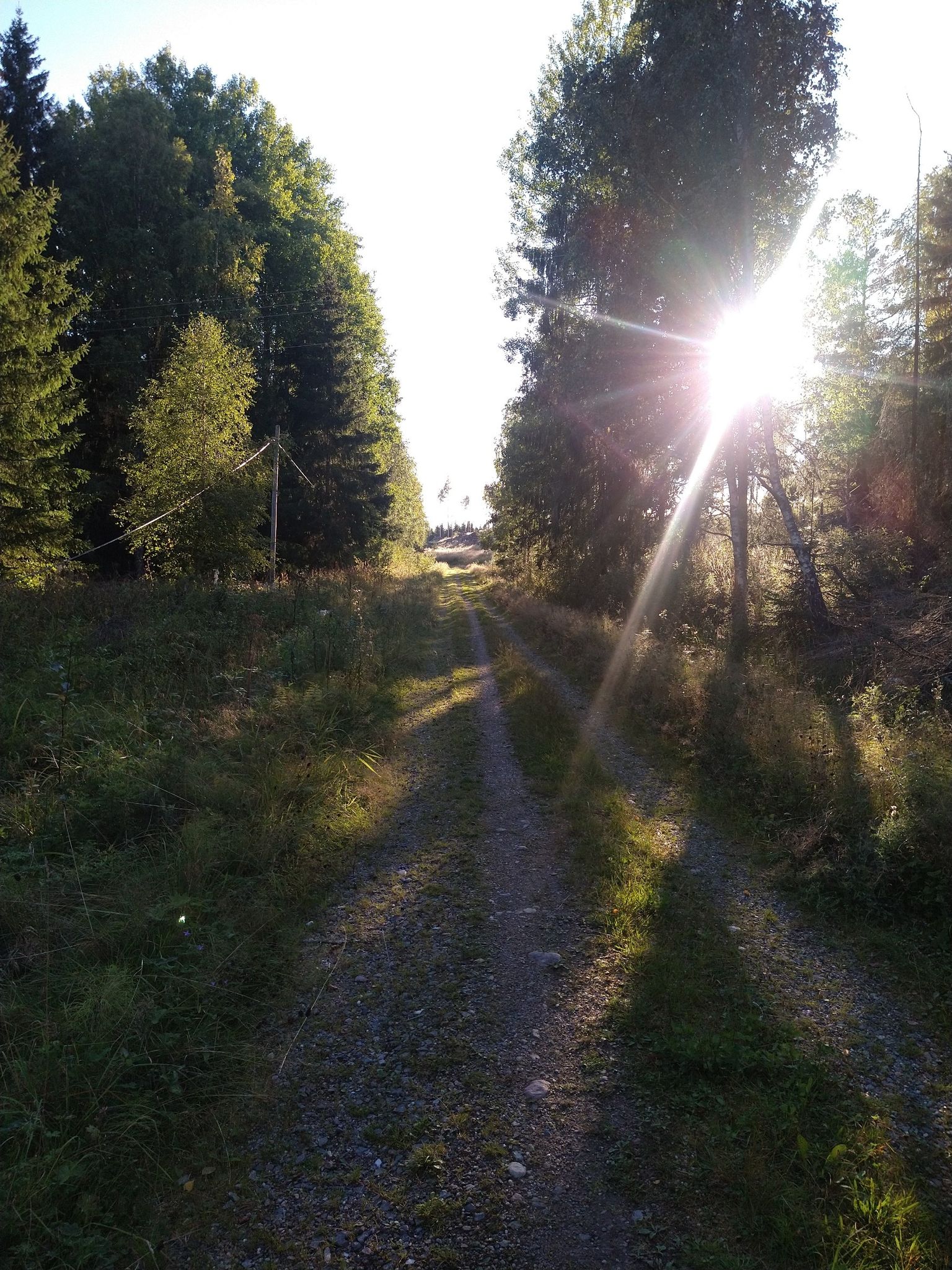 felingerundan
