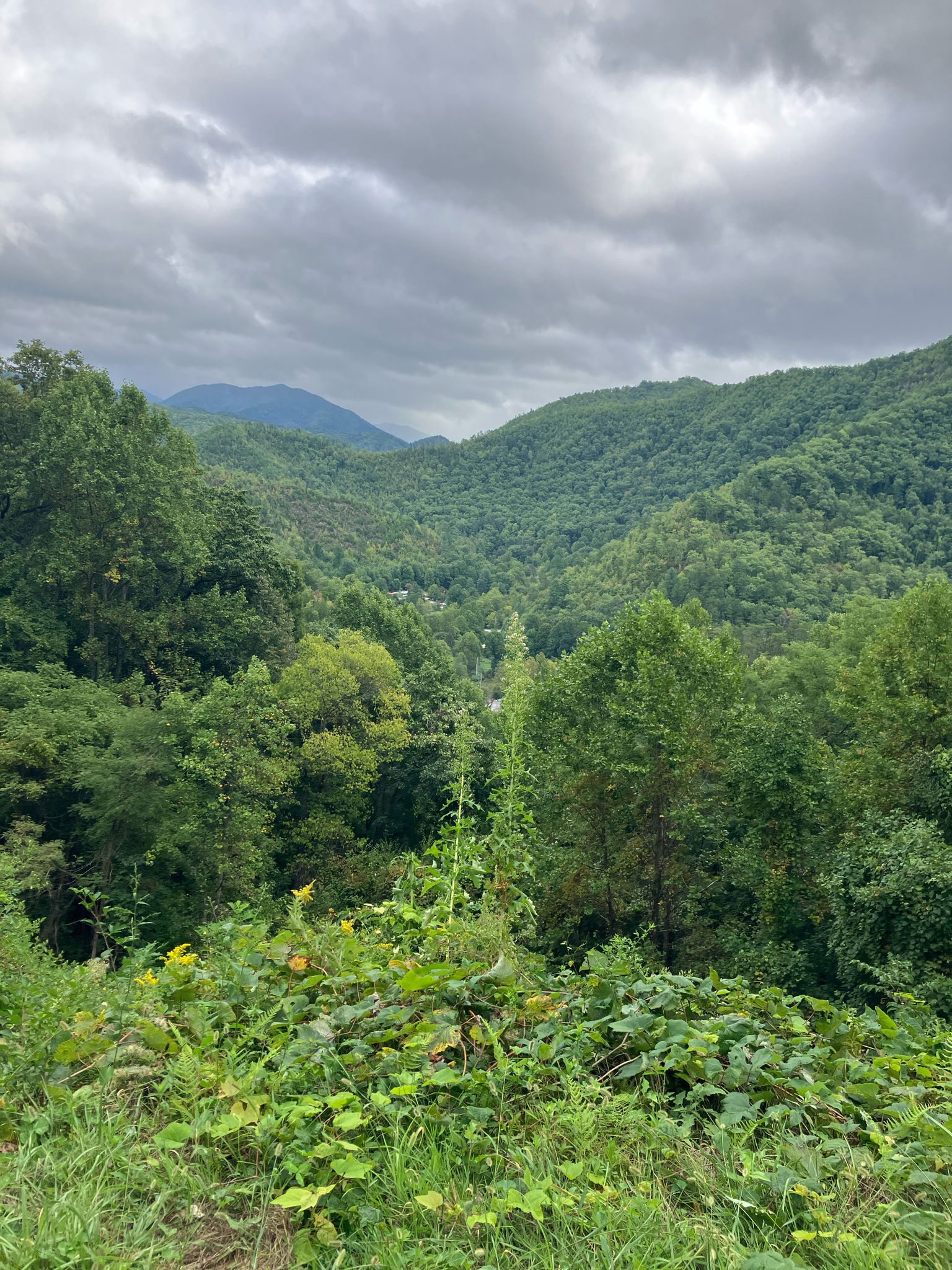 Lush green mountains and valleys under a cloudy, overcast sky. - Wolftown, Paint Town, & Cherokee loop