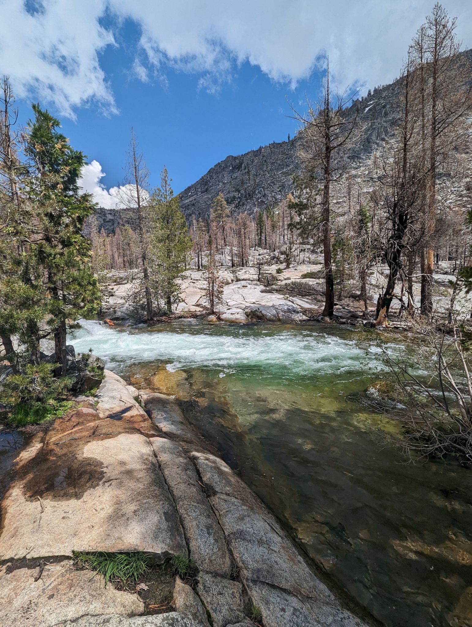 A clear river flows past rocky banks and burnt trees under a blue sky. - Pyramid Trail