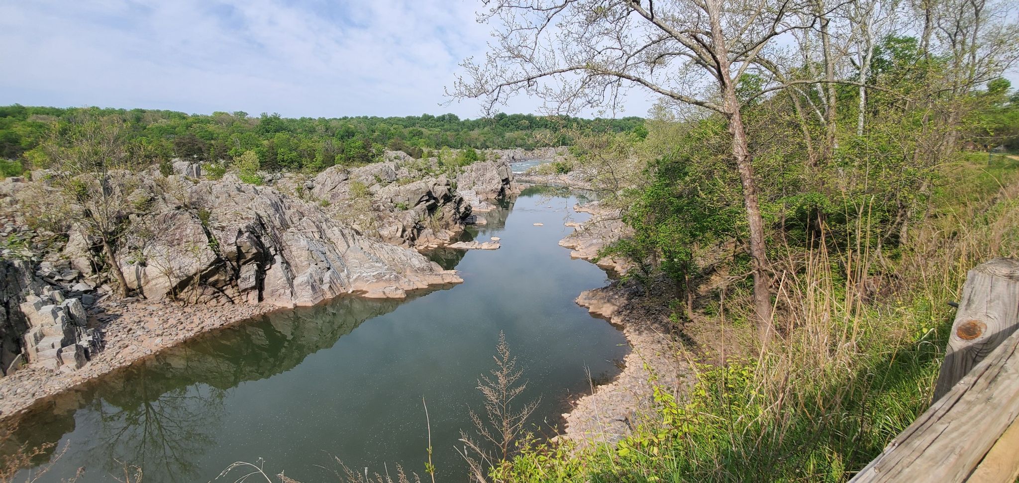Calm river flows past rocky banks and distant green trees under a cloudy sky. - Great Falls Overlook – Horseshoe Bend at Great Falls loop from Watts Branch