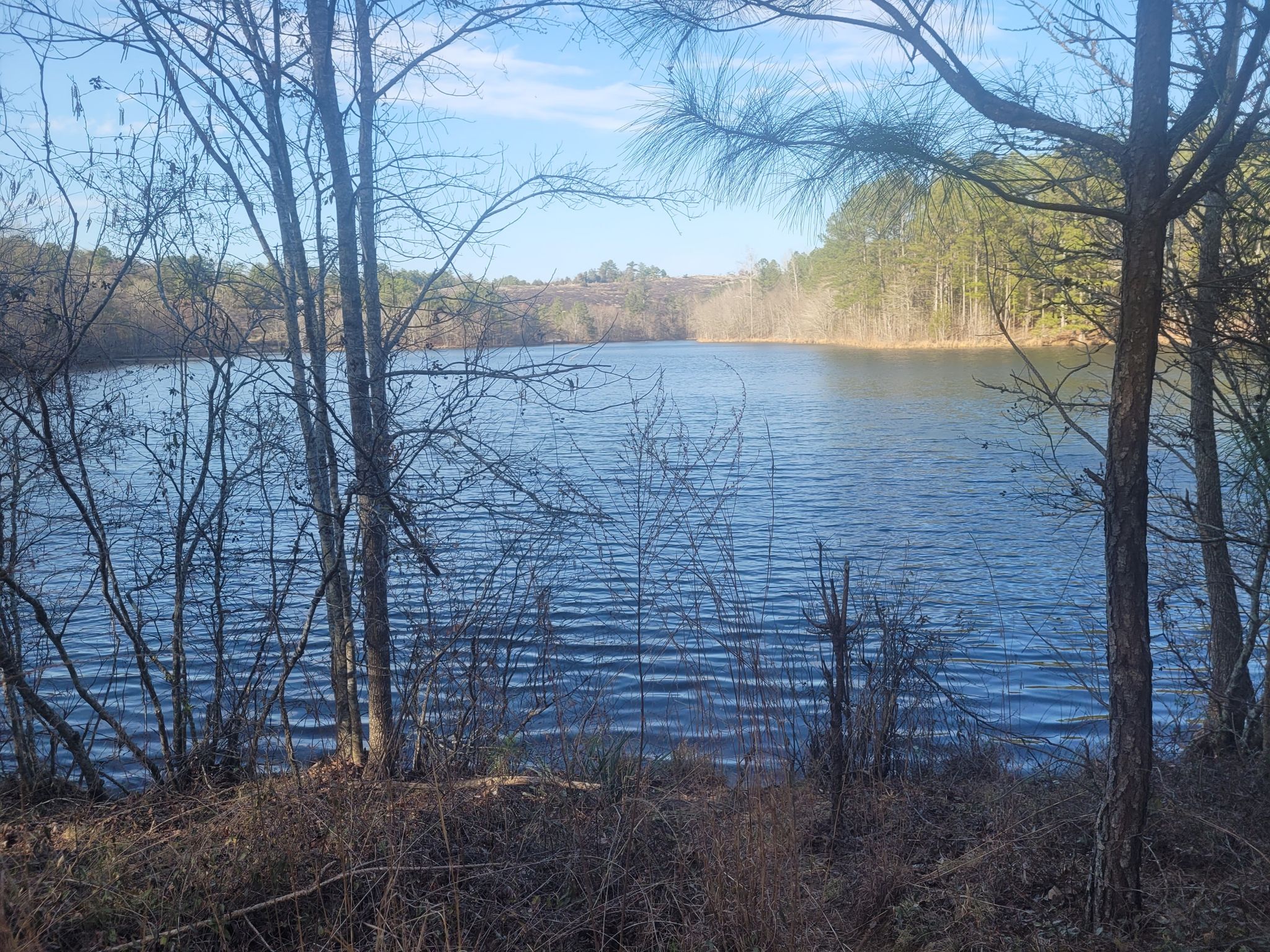 Calm lake surrounded by bare trees and distant forest under a bright sky. - Mountain View and Mountain Top Trail Loop